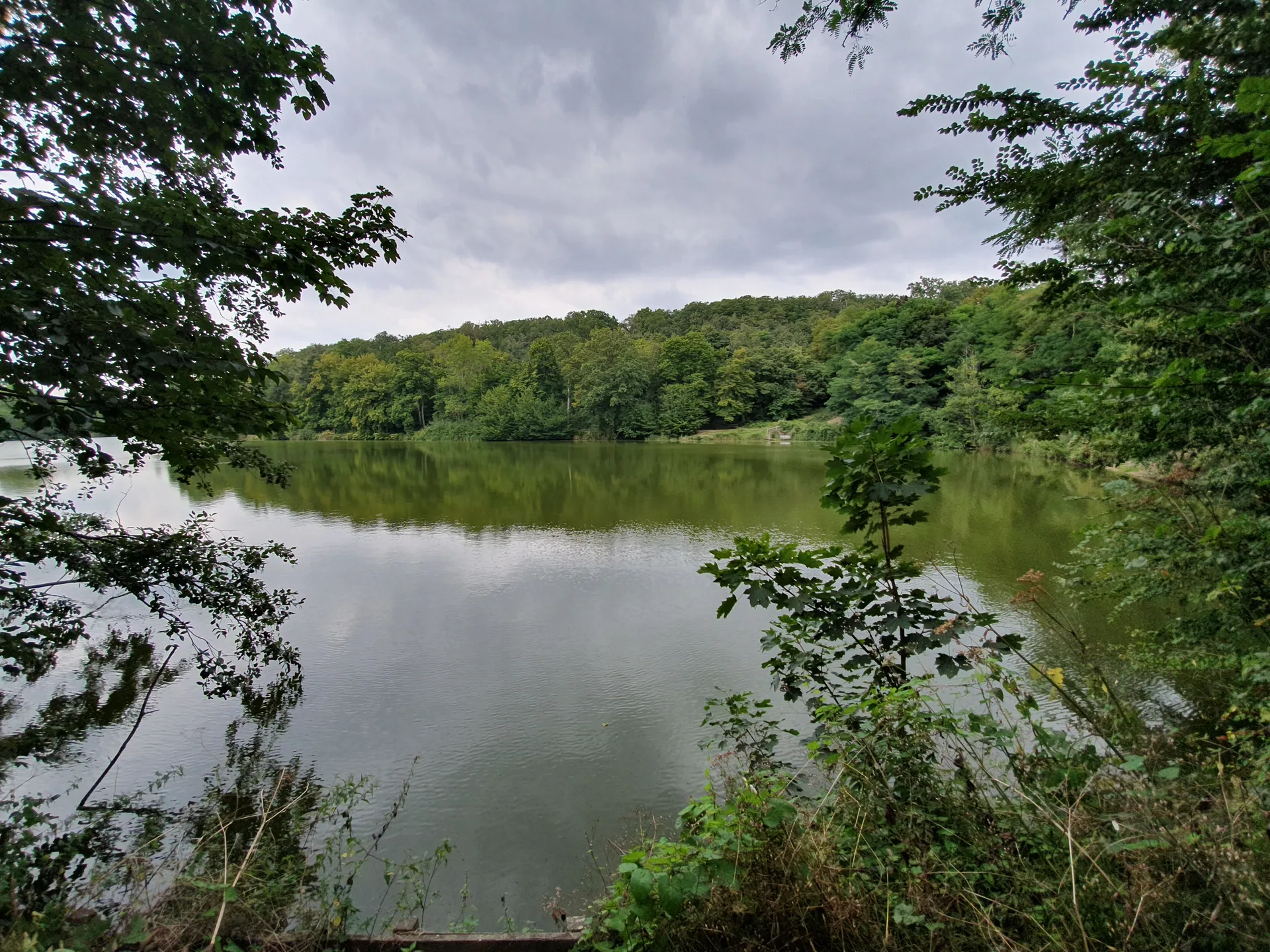 Etang du Val d'Or à Guyancourt — À 453 m du lac
