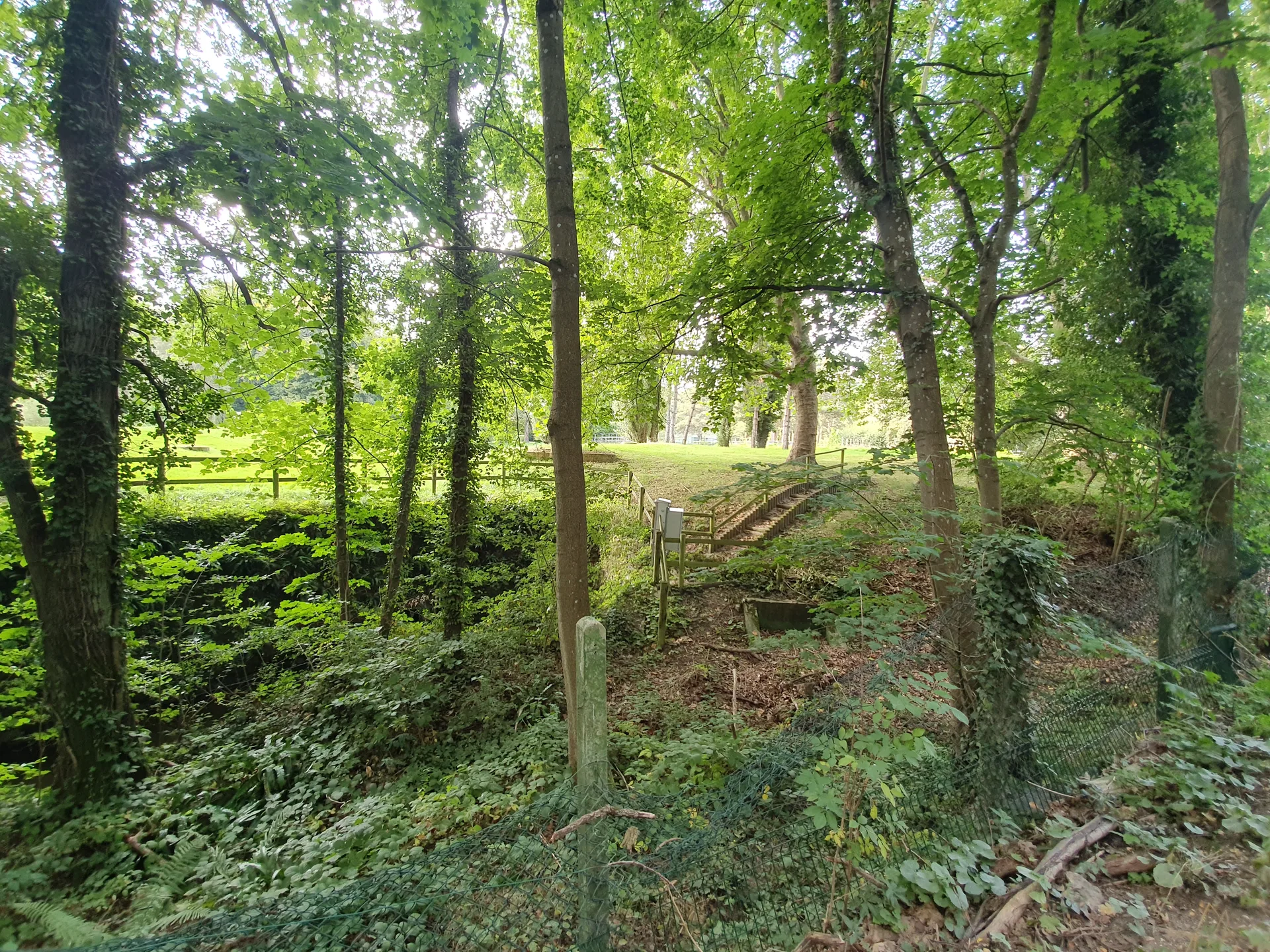 Etang du Val d'Or à Guyancourt — À 677 m du lac