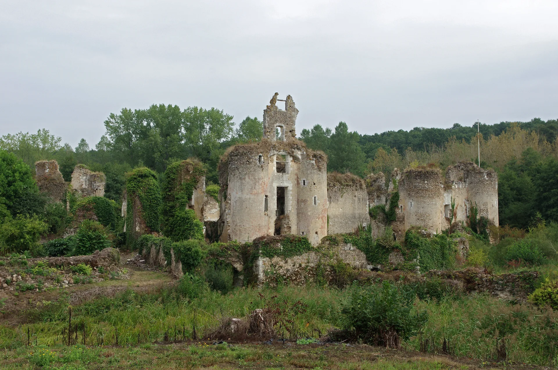 Etang du val Joyeux à Château-la-Vallière — À 1,7 km du lac