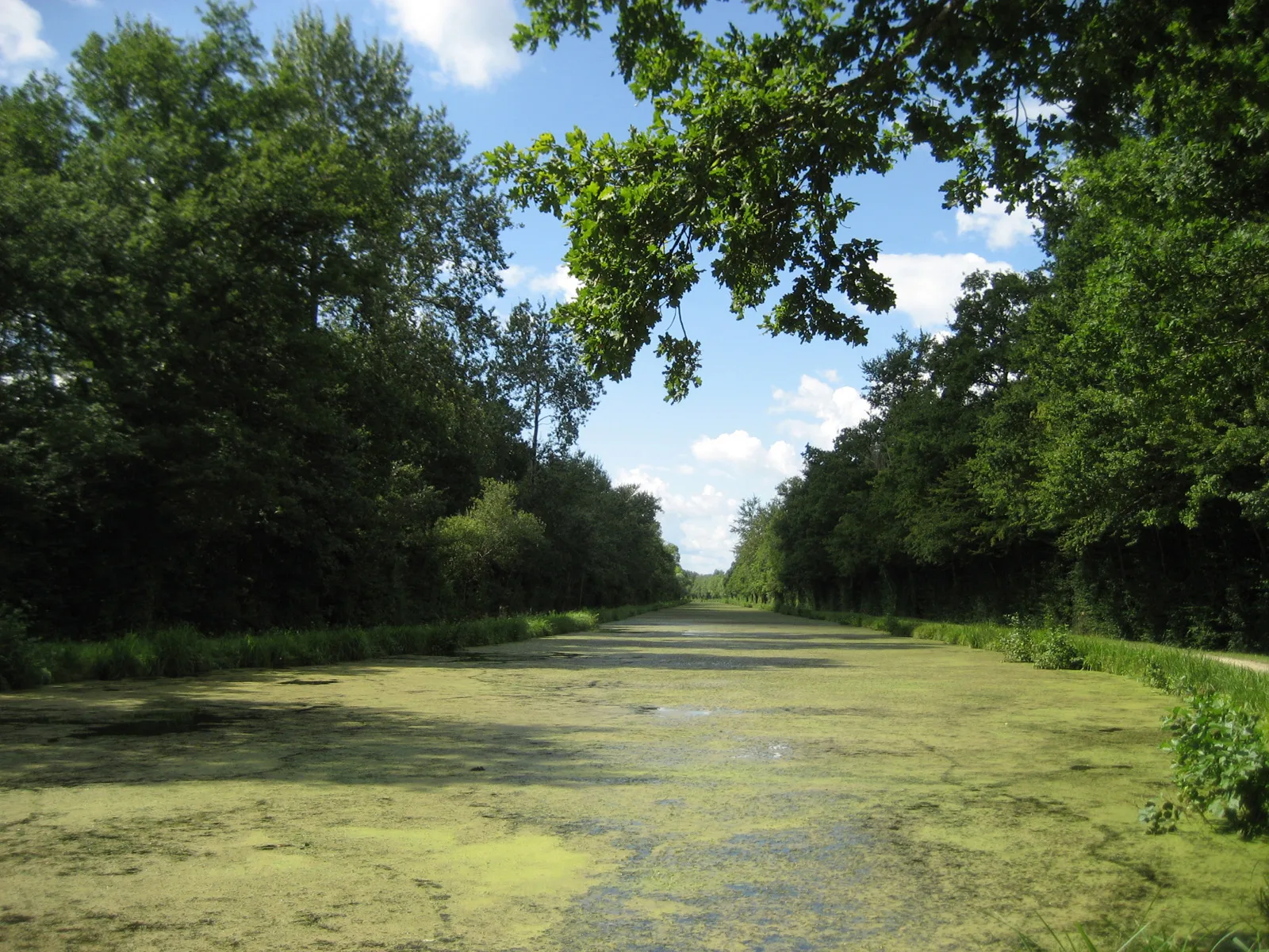 Etang du Vert à Coudroy — À 1,4 km du lac