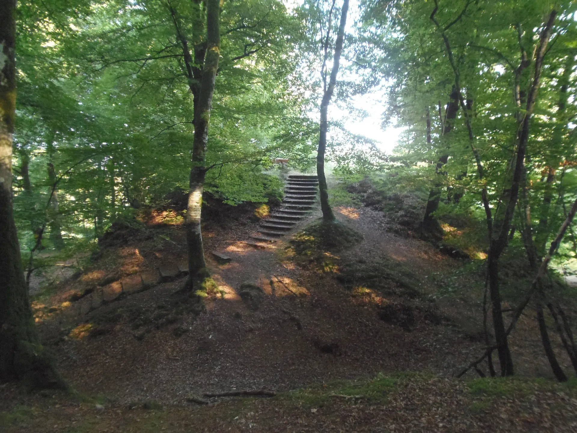 Etang du vieux chateau à Noues de Sienne — Sur le lac