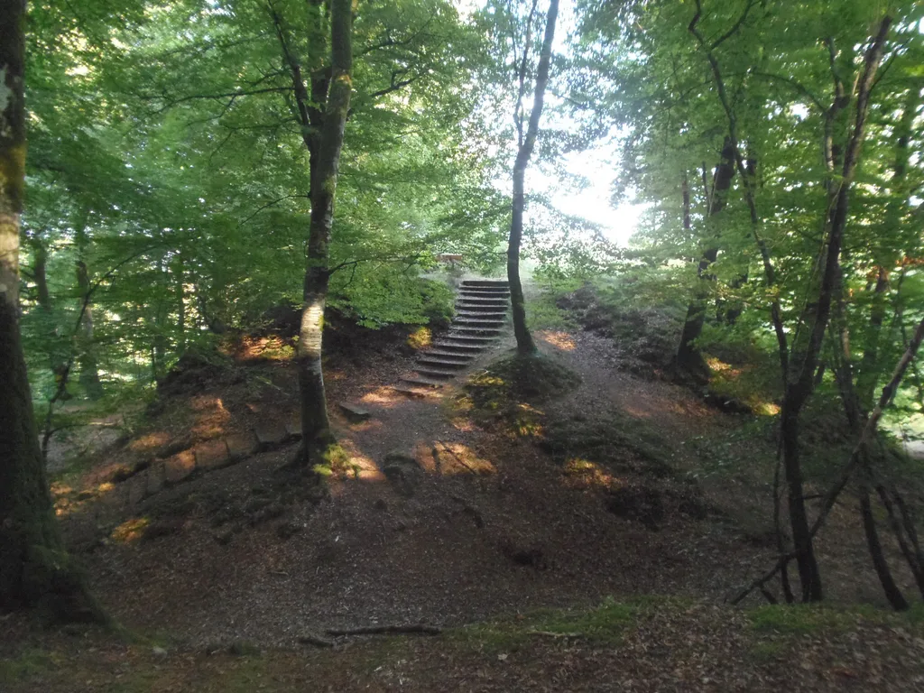 Etang du vieux chateau, Noues de Sienne