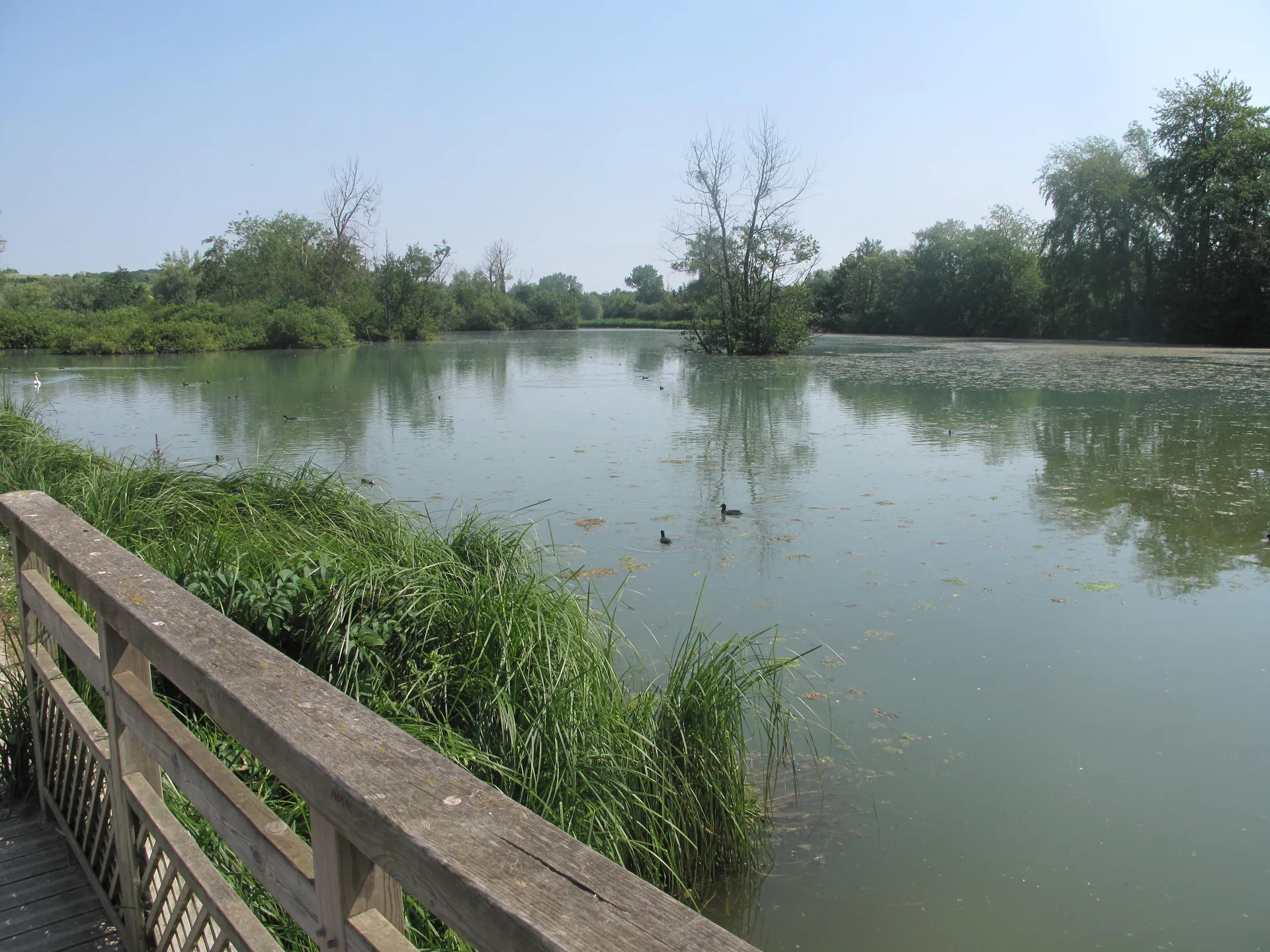 Etang Gaubert à Abbeville — À 203 m du lac