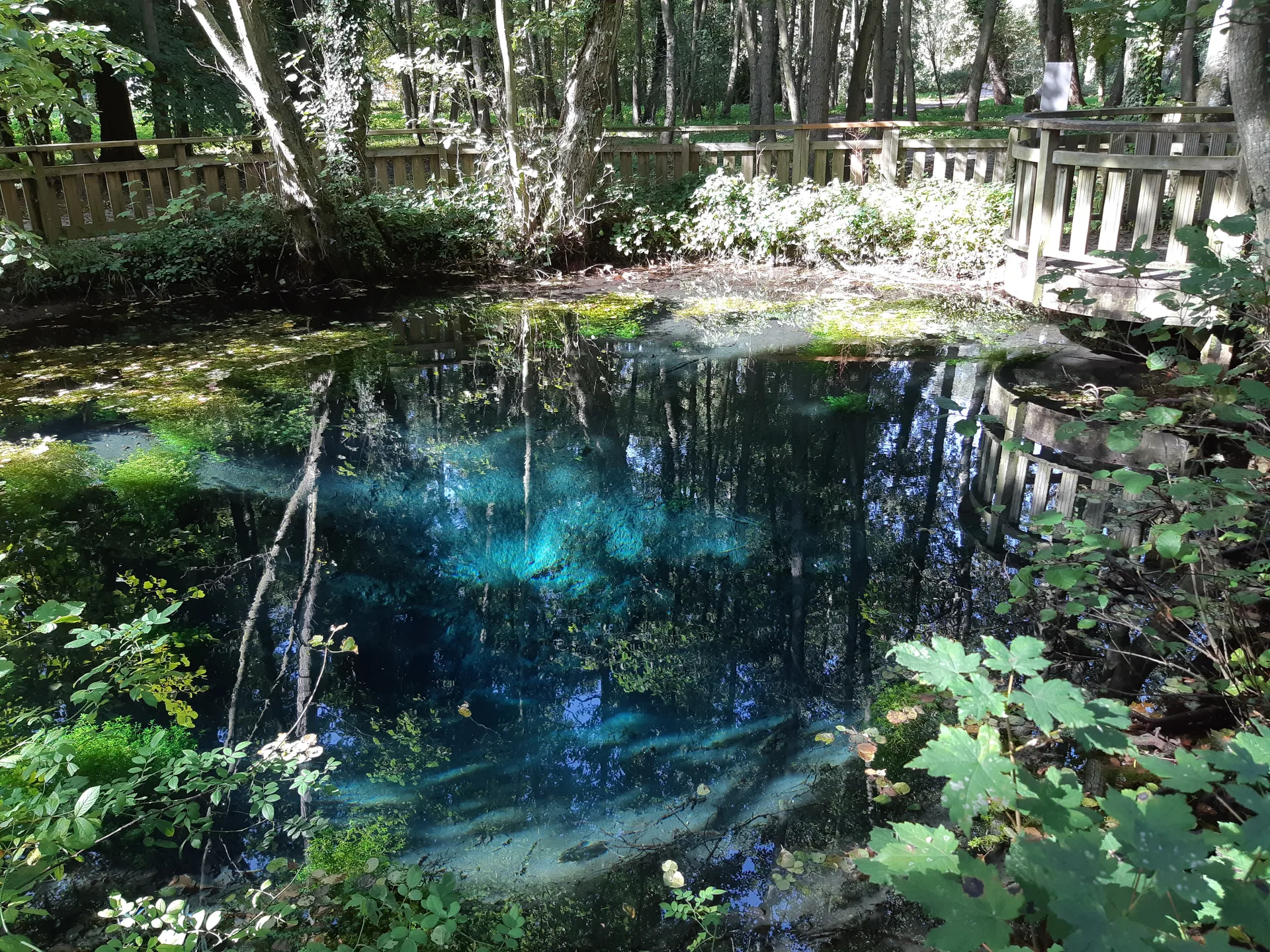 Etang Gaubert à Abbeville — À 254 m du lac