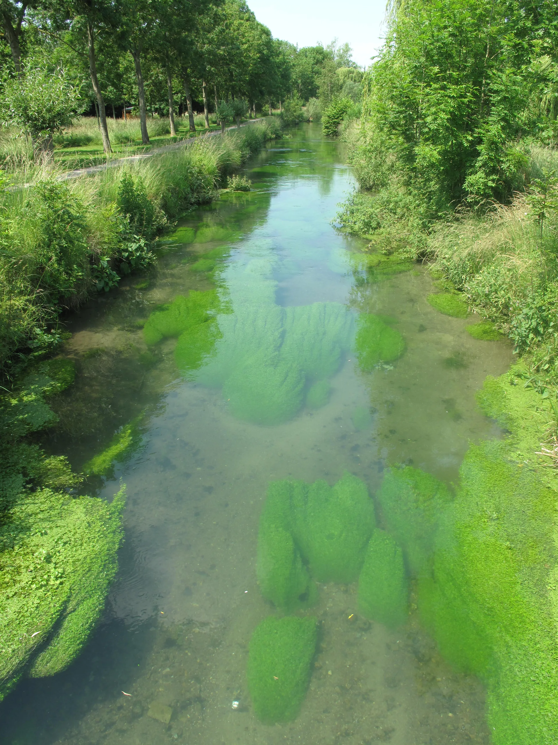 Etang Gaubert à Abbeville — À 357 m du lac