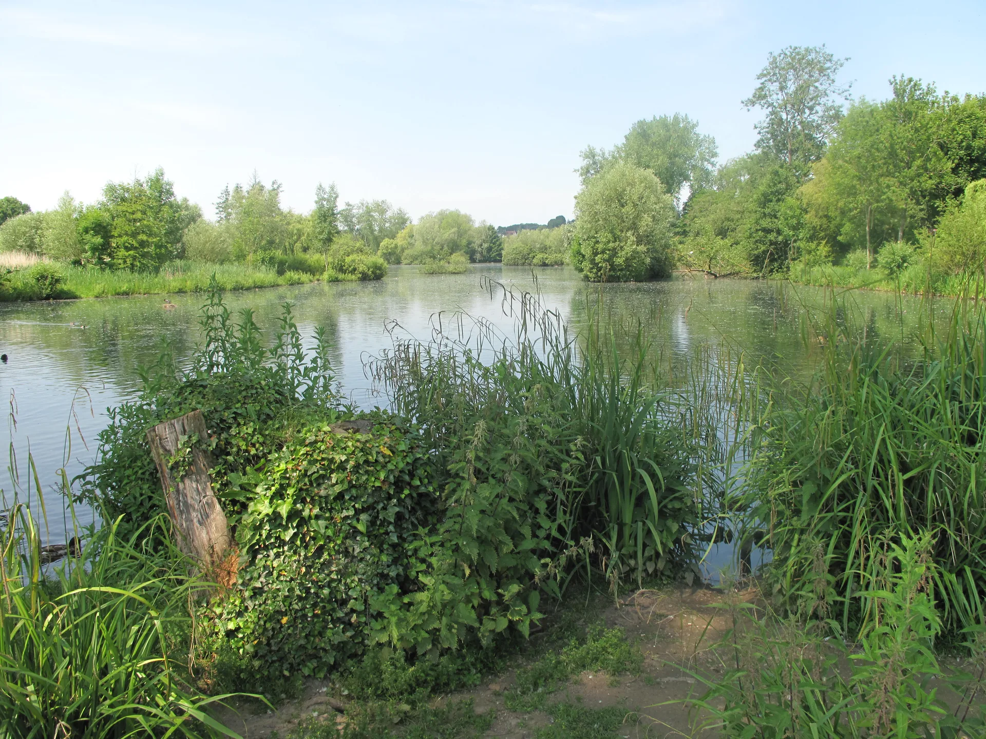Etang Gaubert à Abbeville — À 630 m du lac