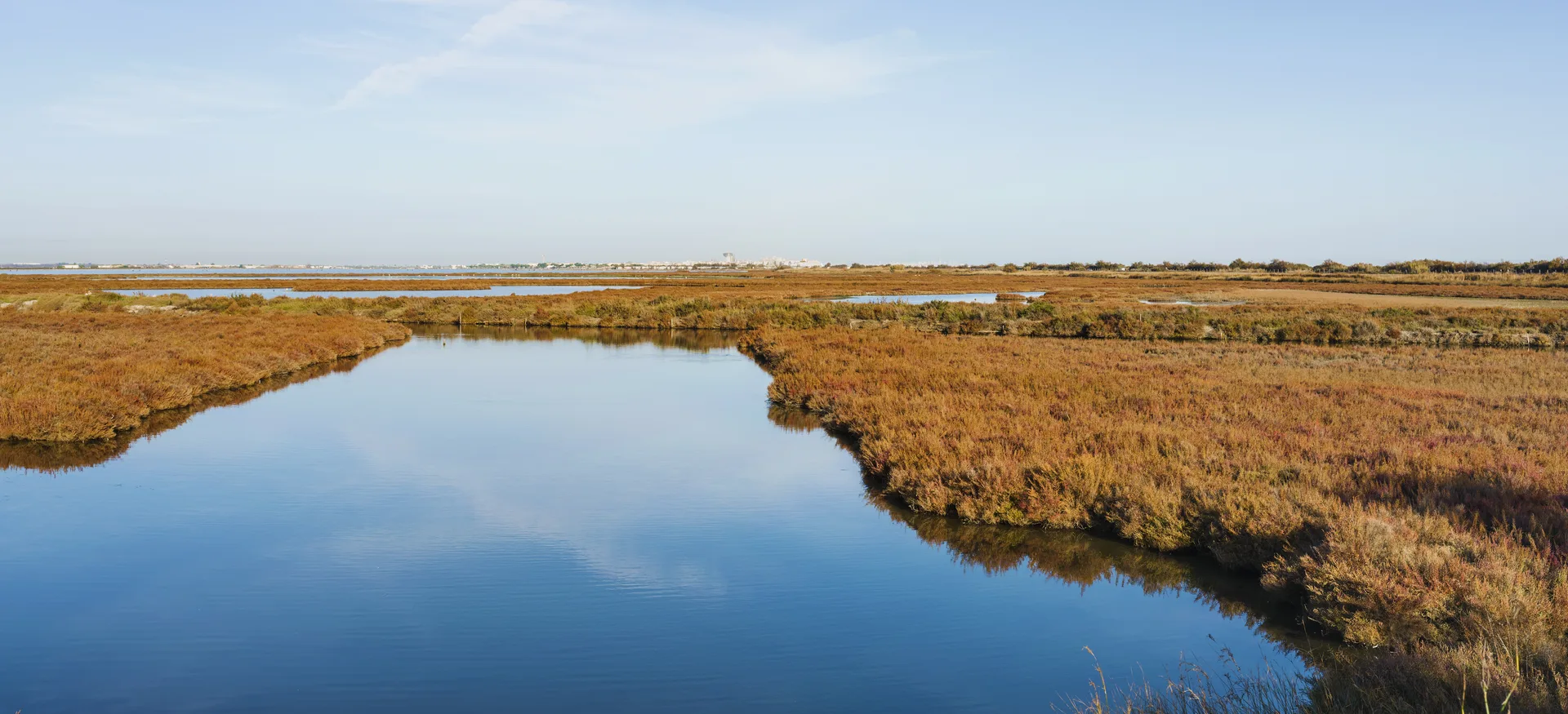 Etang Julien Vidal à Villeneuve-lès-Maguelone — À 211 m du lac