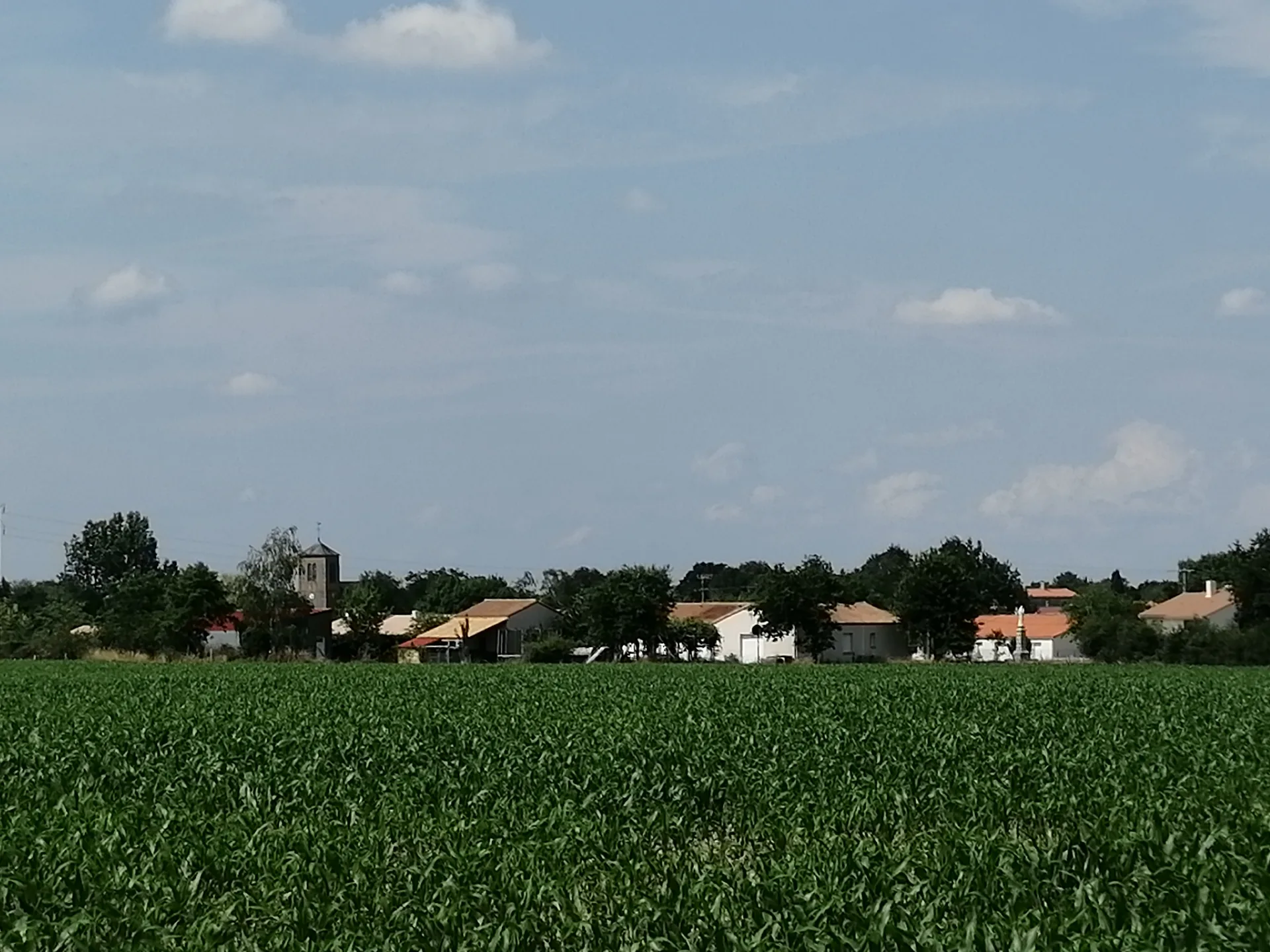 Etang la Cité des Oiseaux à Les Landes-Genusson — À 2,6 km du lac