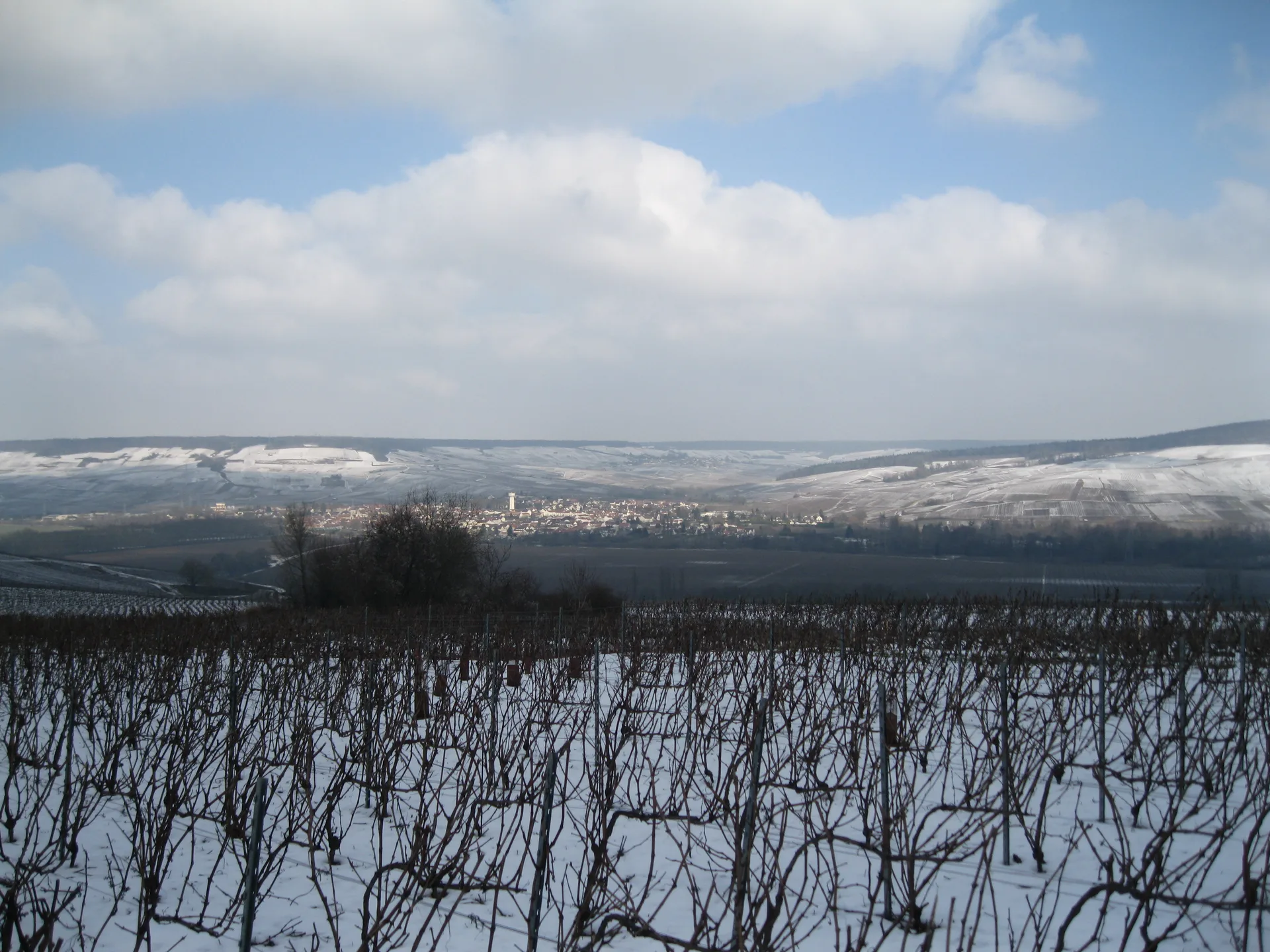Etang Neuf à Épernay — À 1,1 km du lac