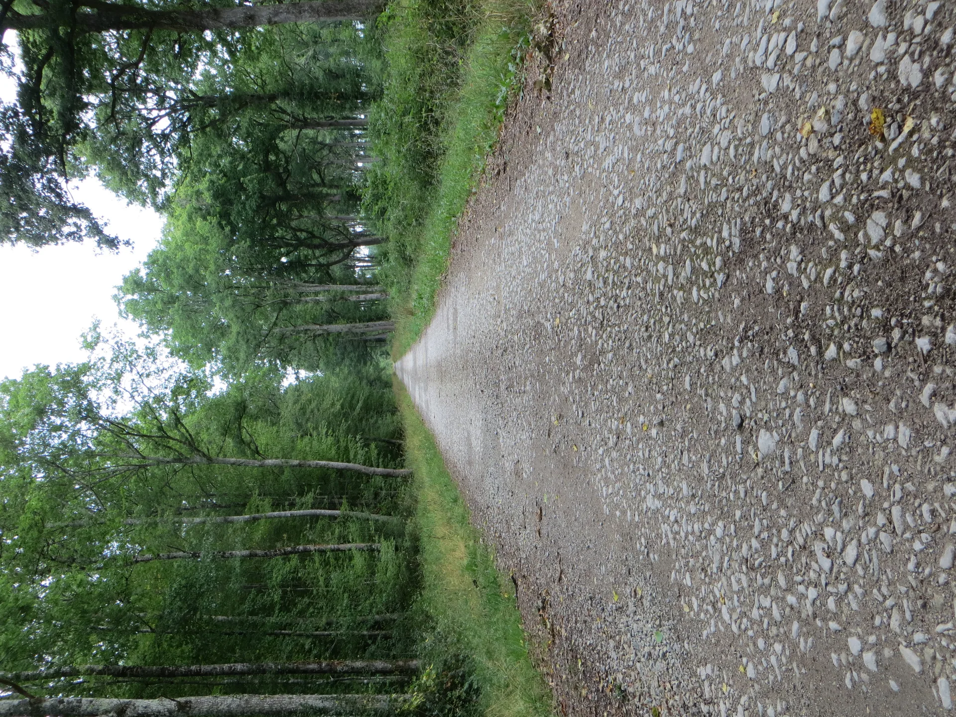 Etang Neuf à Meillant — À 3,3 km du lac