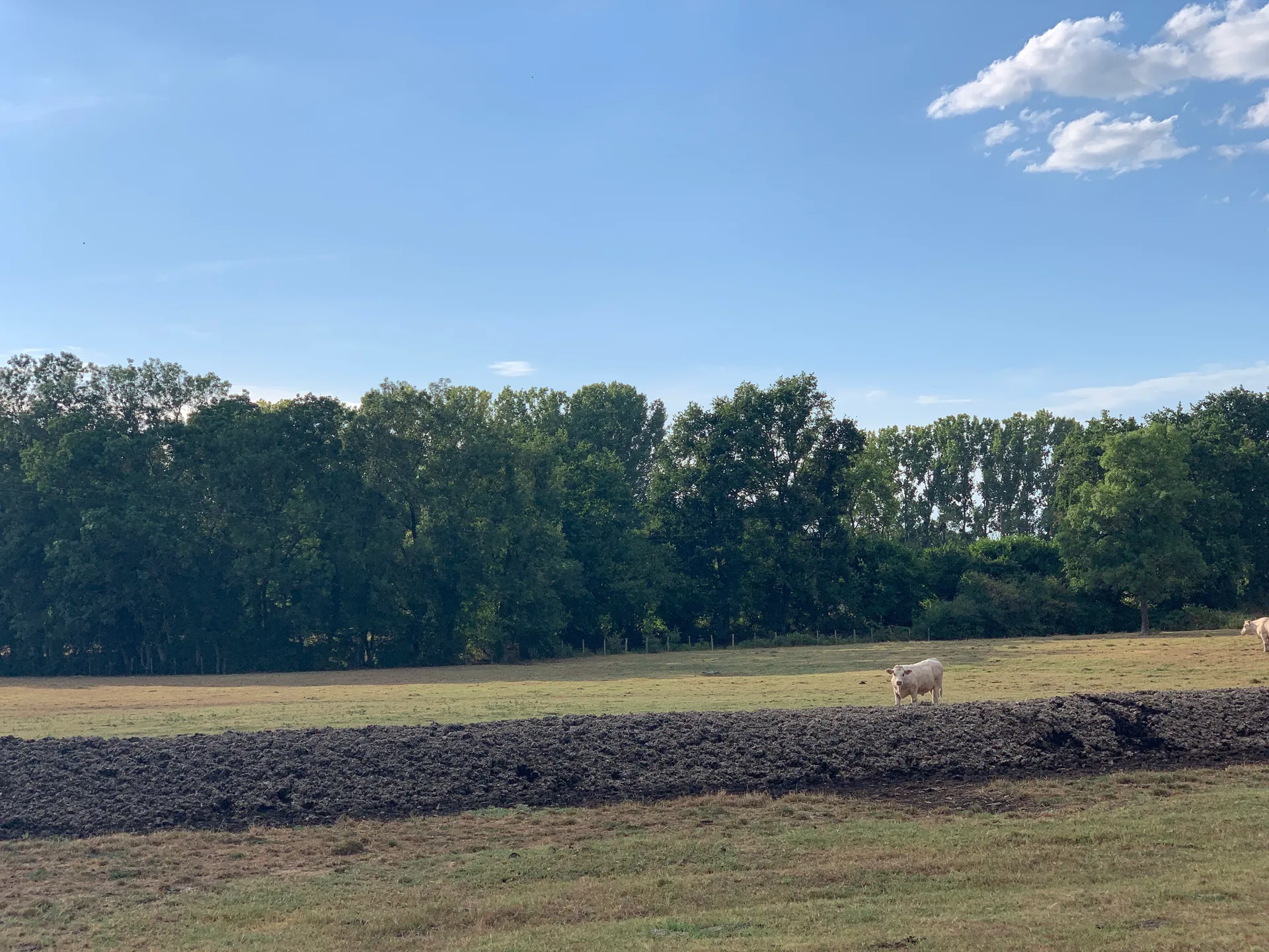Etang Neuf à Ormes — À 567 m du lac