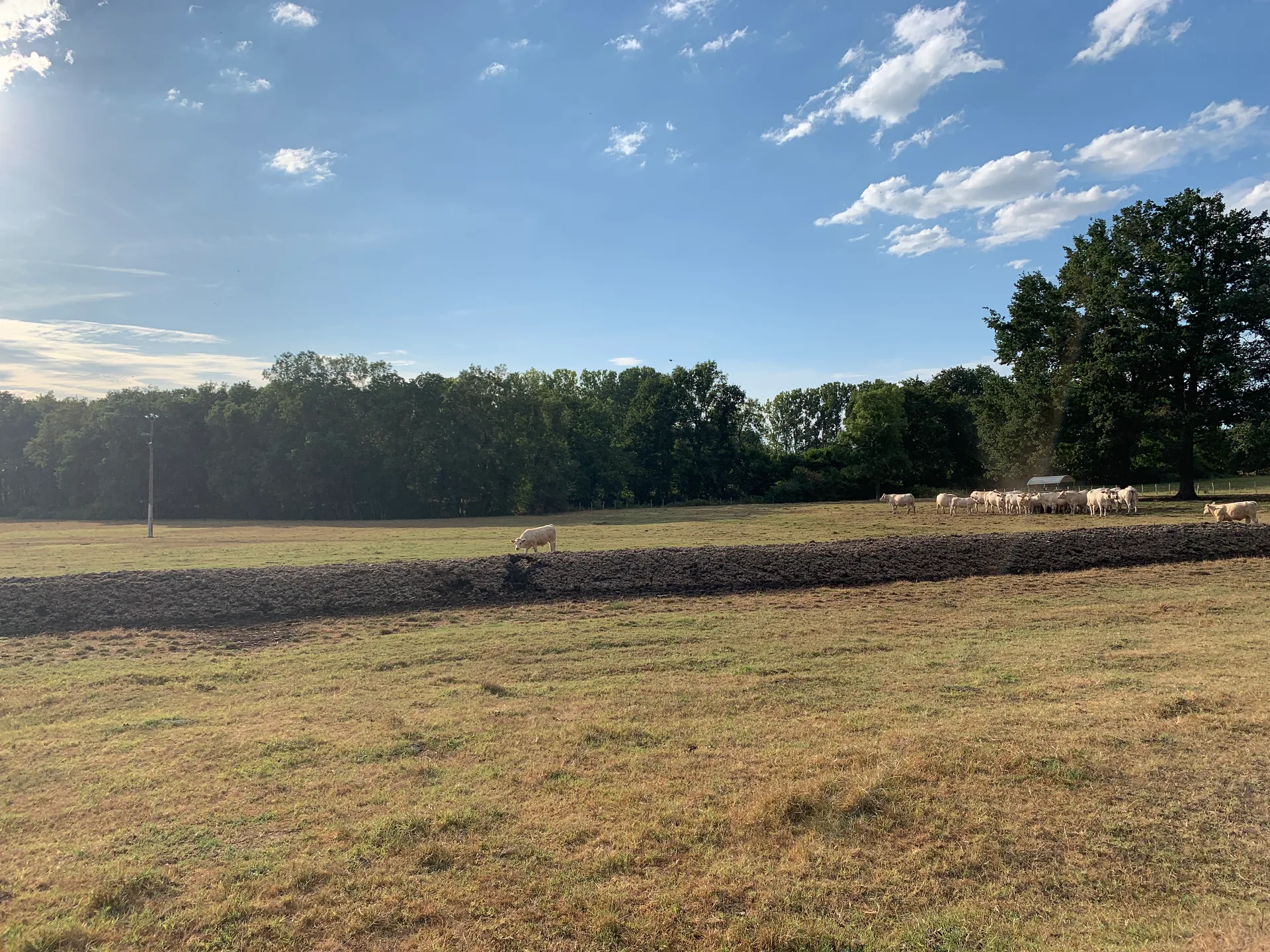 Etang Neuf à Ormes — À 550 m du lac