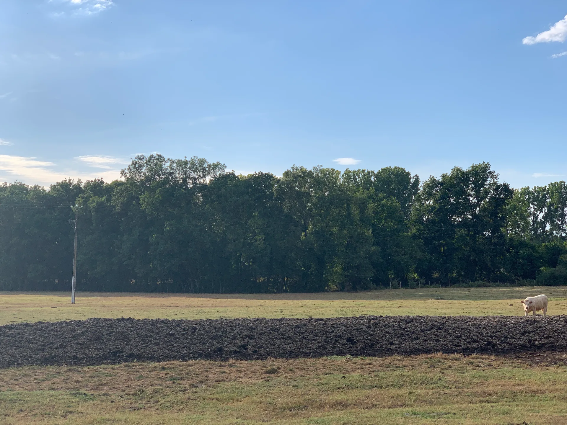 Etang Neuf à Ormes — À 561 m du lac