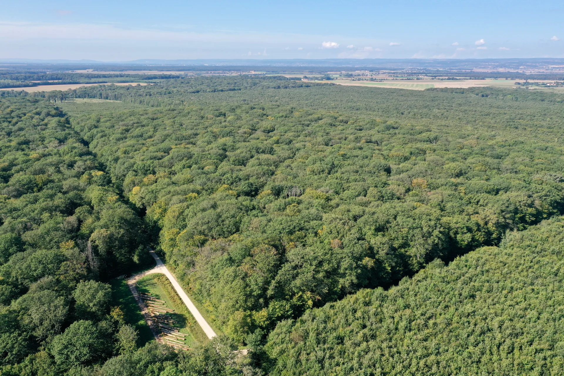 Etang Neuf à Saint-Nicolas-lès-Cîteaux — À 4,5 km du lac