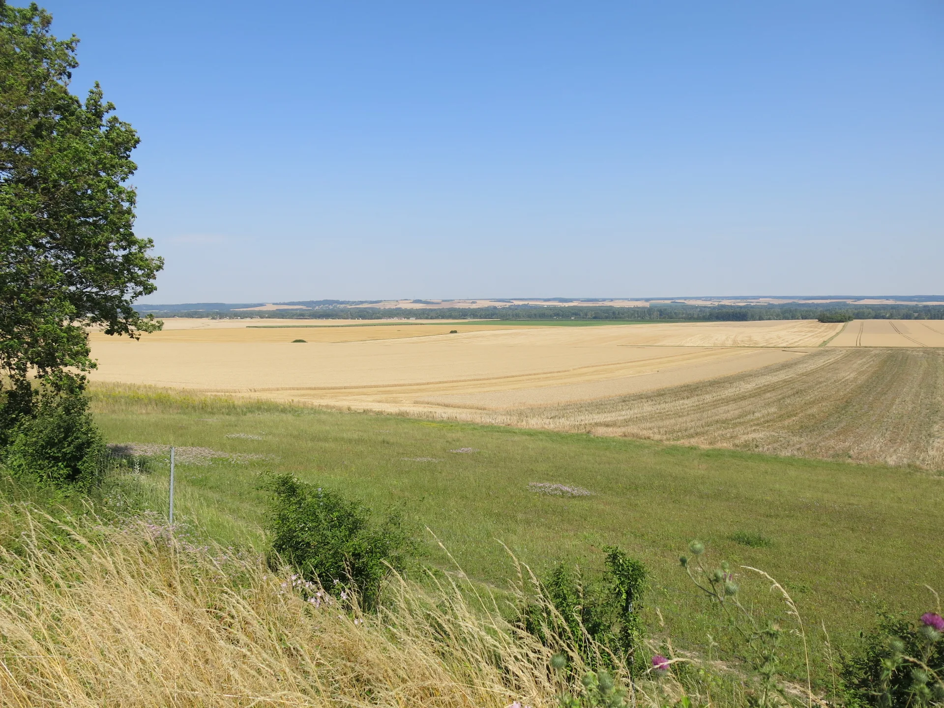 Etangs de Balloy à Balloy — À 3,7 km du lac