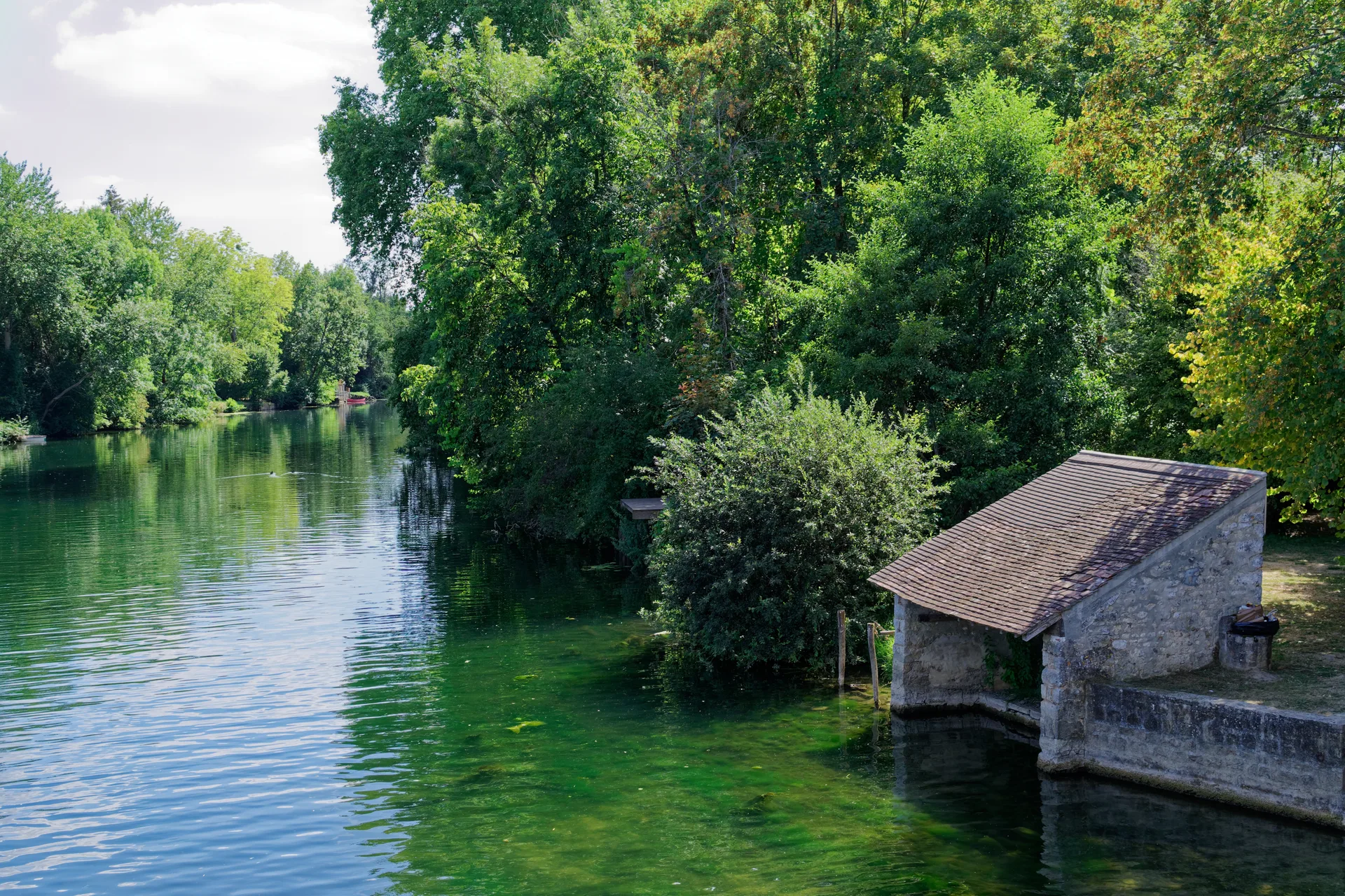 Etangs de Clairette à Grez-sur-Loing — À 764 m du lac
