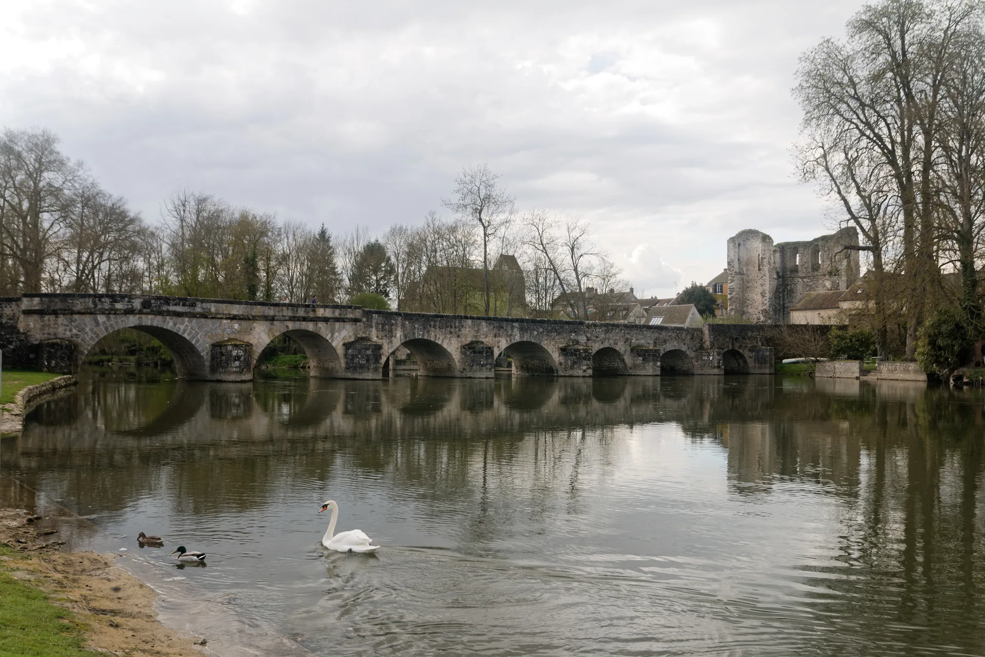 Etangs de Clairette à Grez-sur-Loing — À 720 m du lac