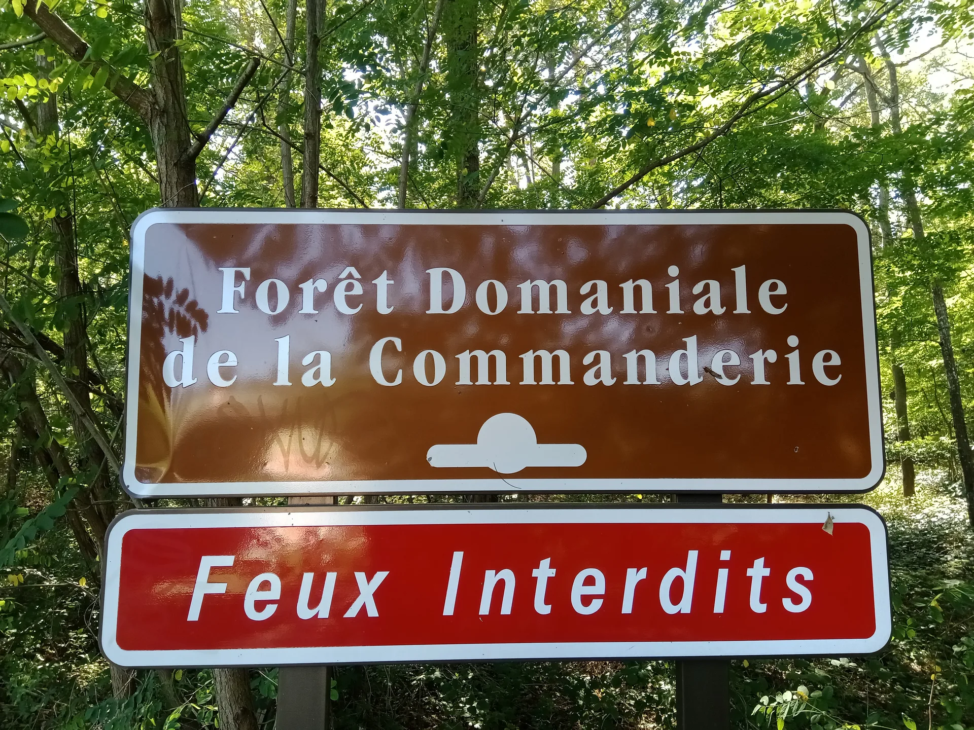 Etangs de Hulay à Grez-sur-Loing — À 1,7 km du lac