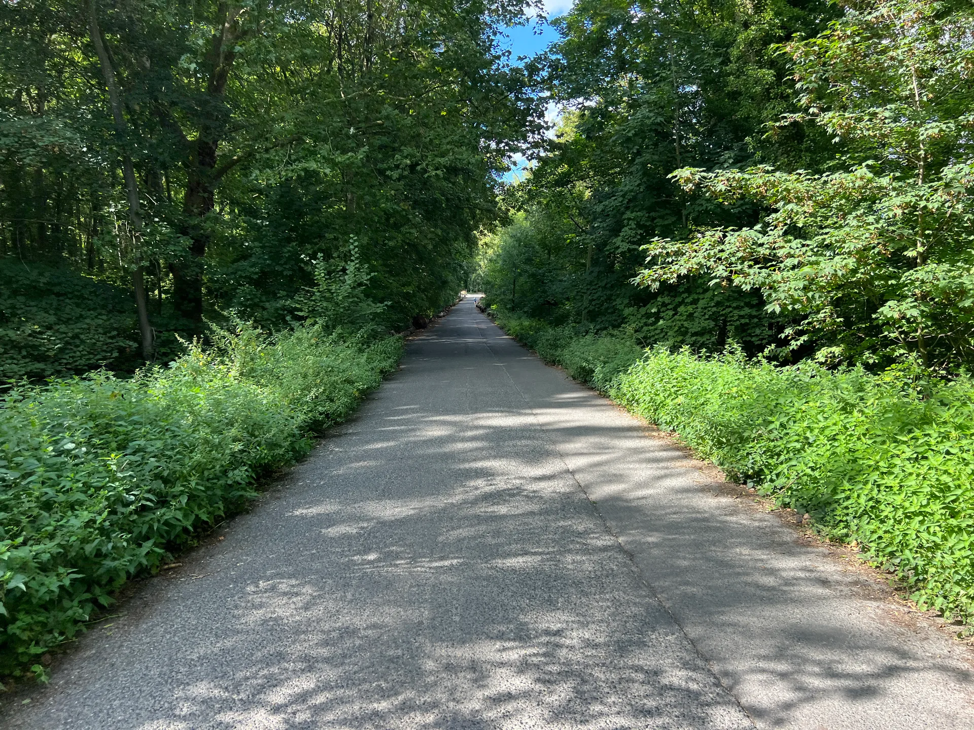 Etangs de La Garenne à Clamart — À 495 m du lac