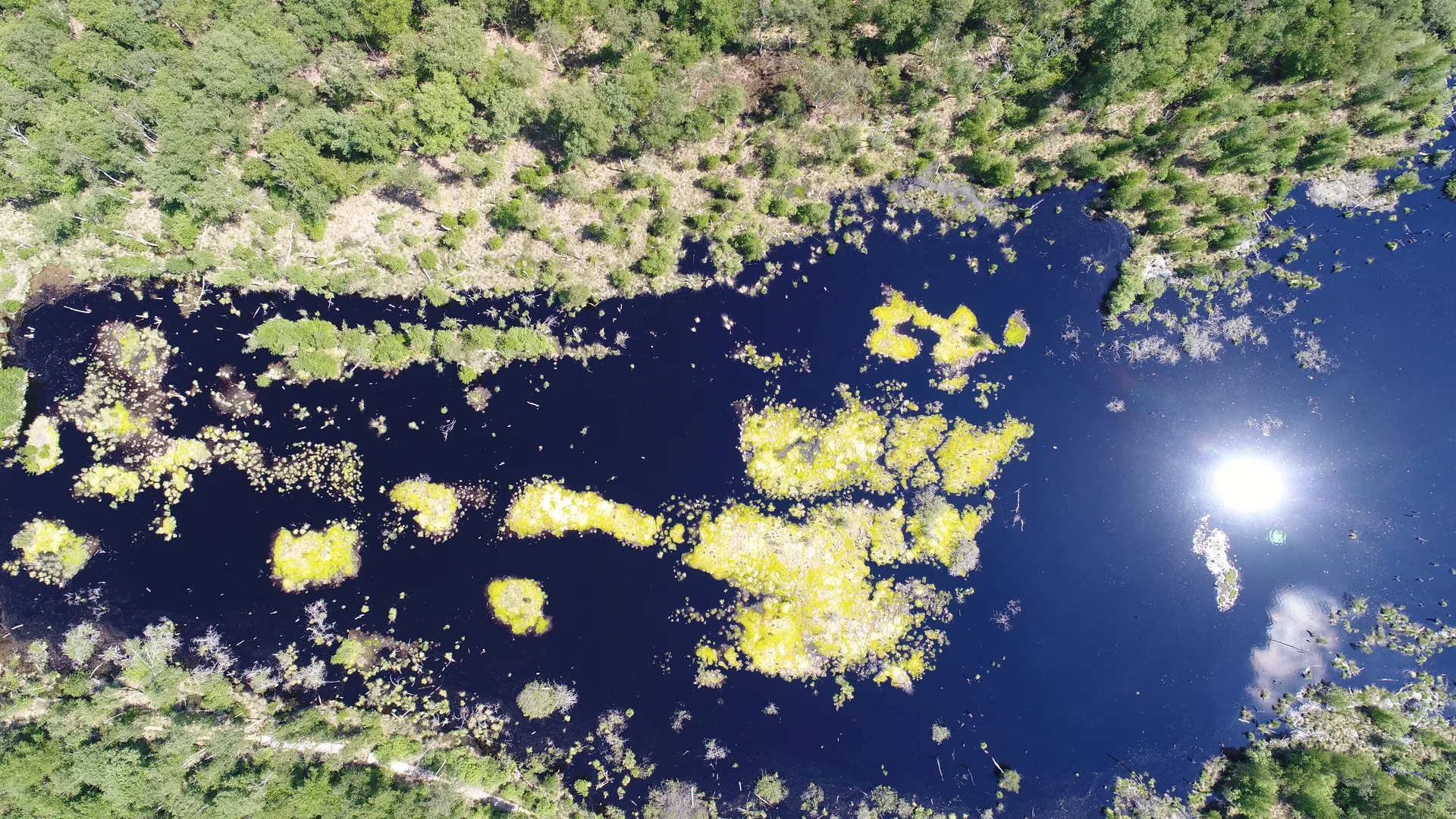 Etangs de la  Maisonnettes à Rignovelle — À 3,9 km du lac