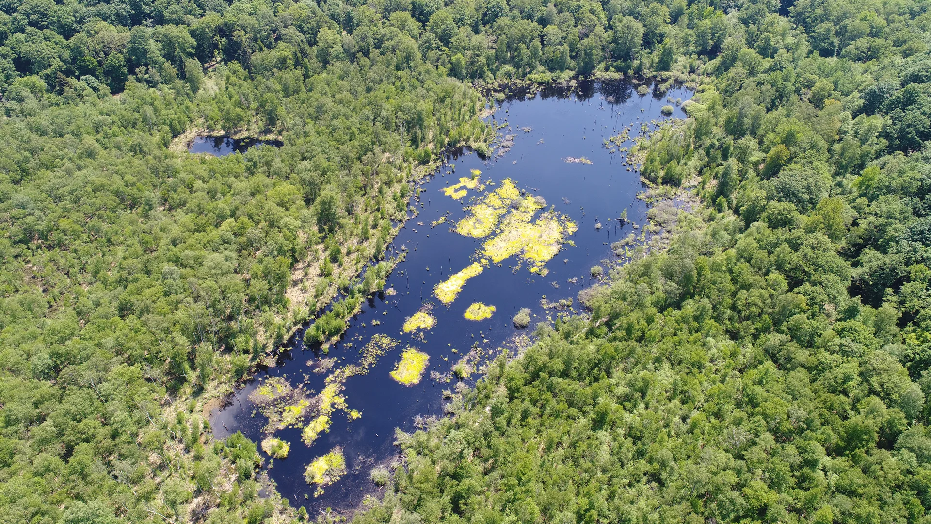 Etangs de la  Maisonnettes à Rignovelle — À 3,8 km du lac