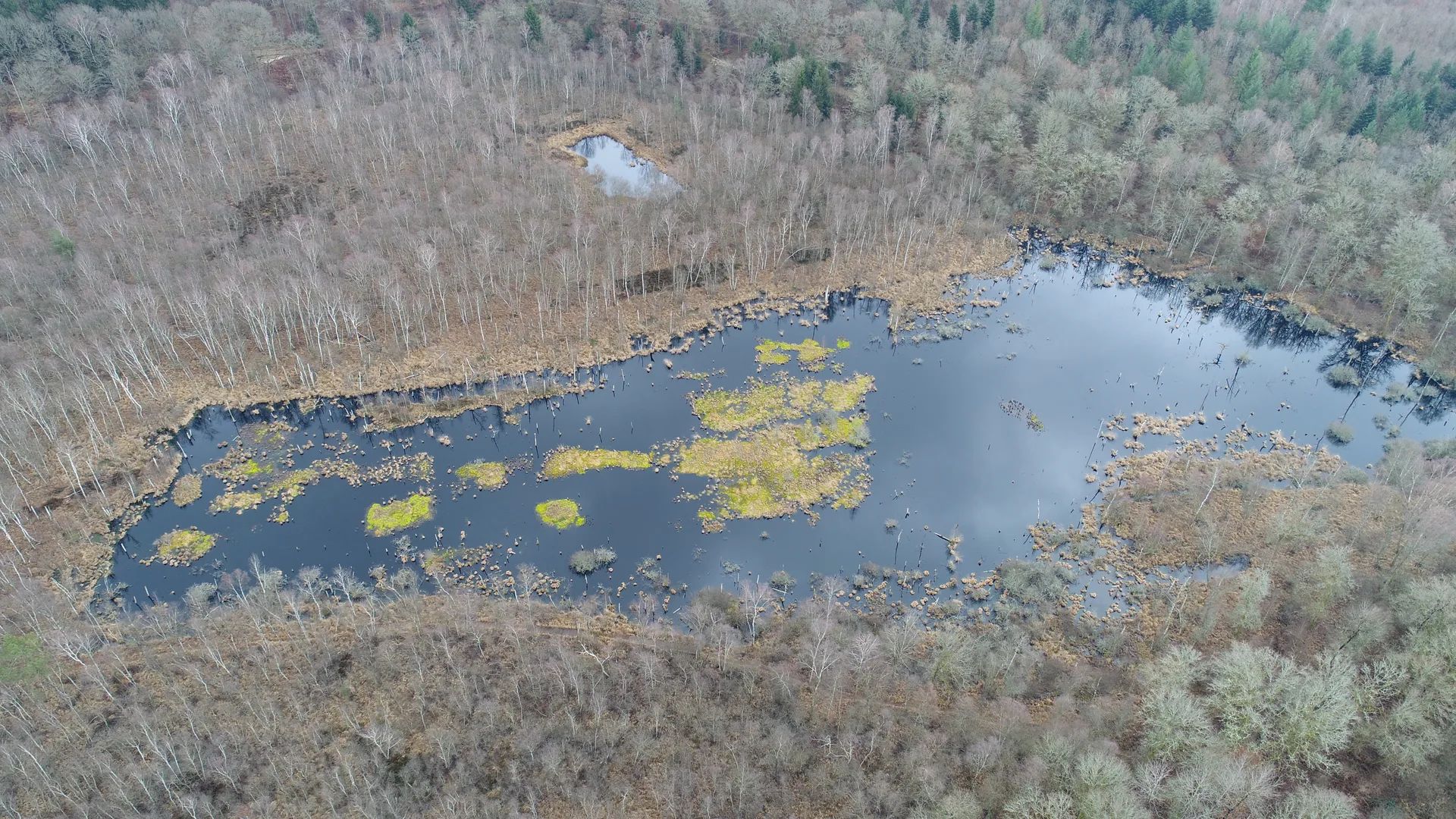 Etangs de la  Maisonnettes à Rignovelle — À 3,8 km du lac