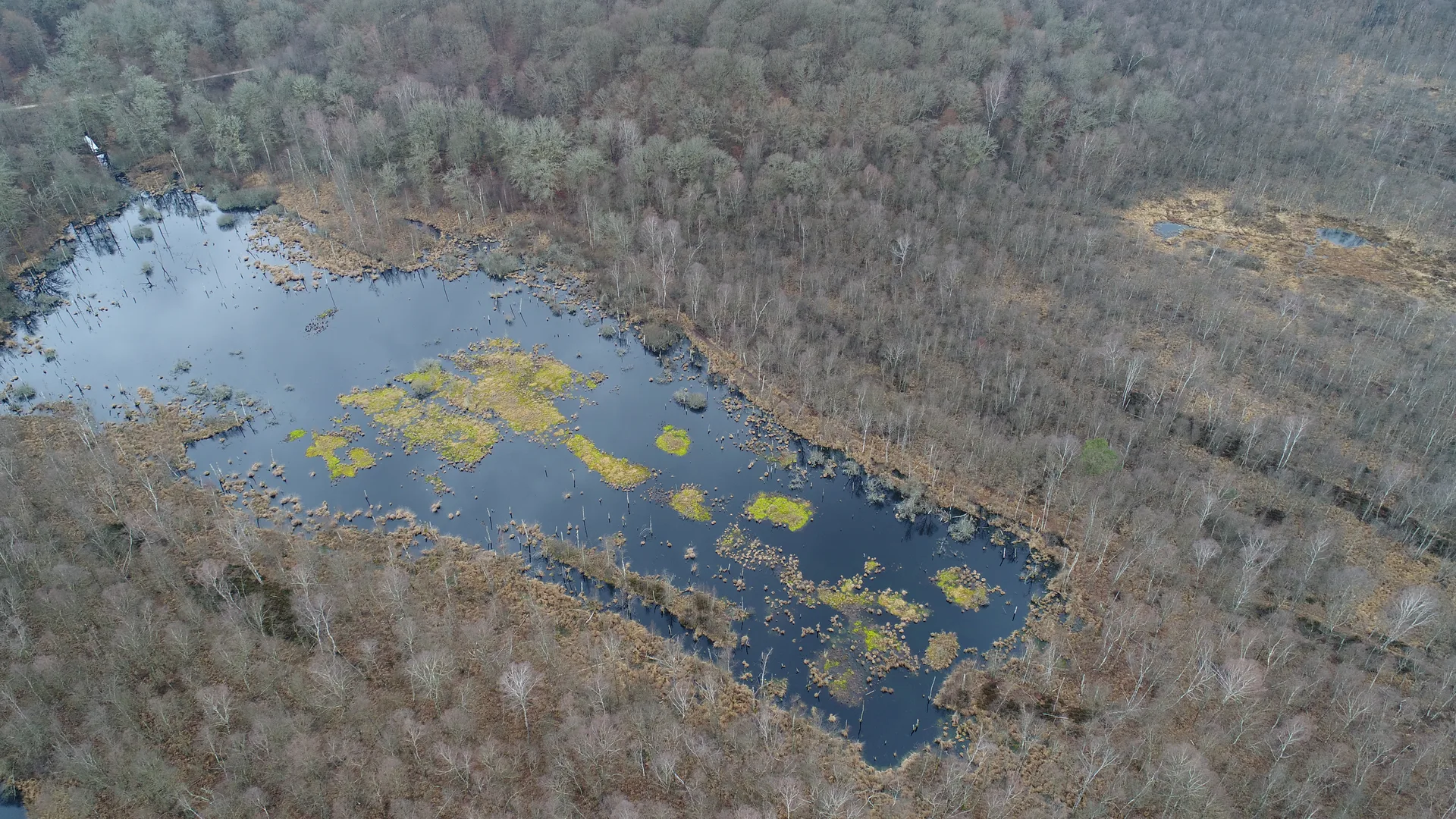 Etangs de la  Maisonnettes à Rignovelle — À 3,9 km du lac