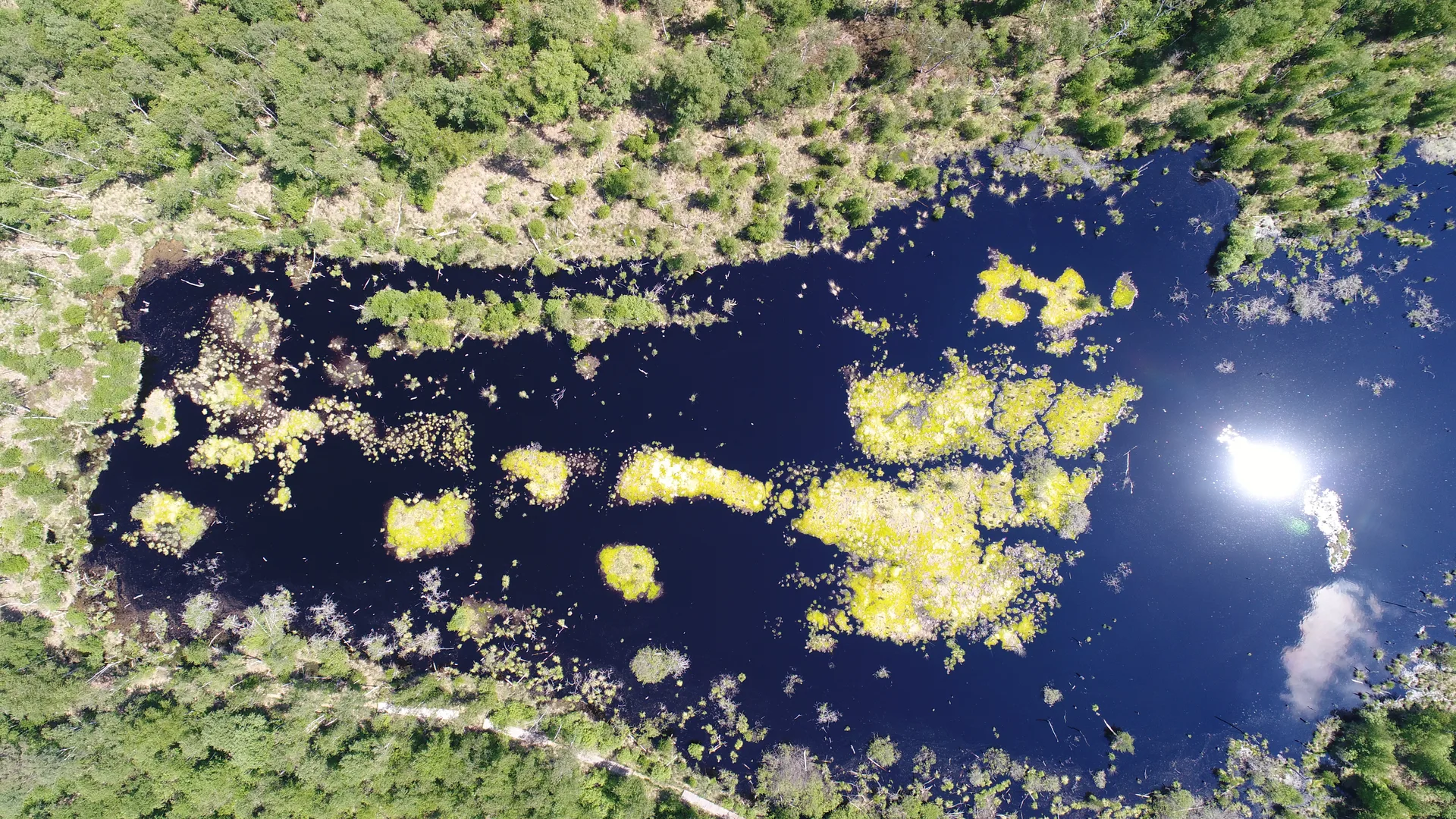 Etangs de la  Maisonnettes à Rignovelle — À 3,9 km du lac