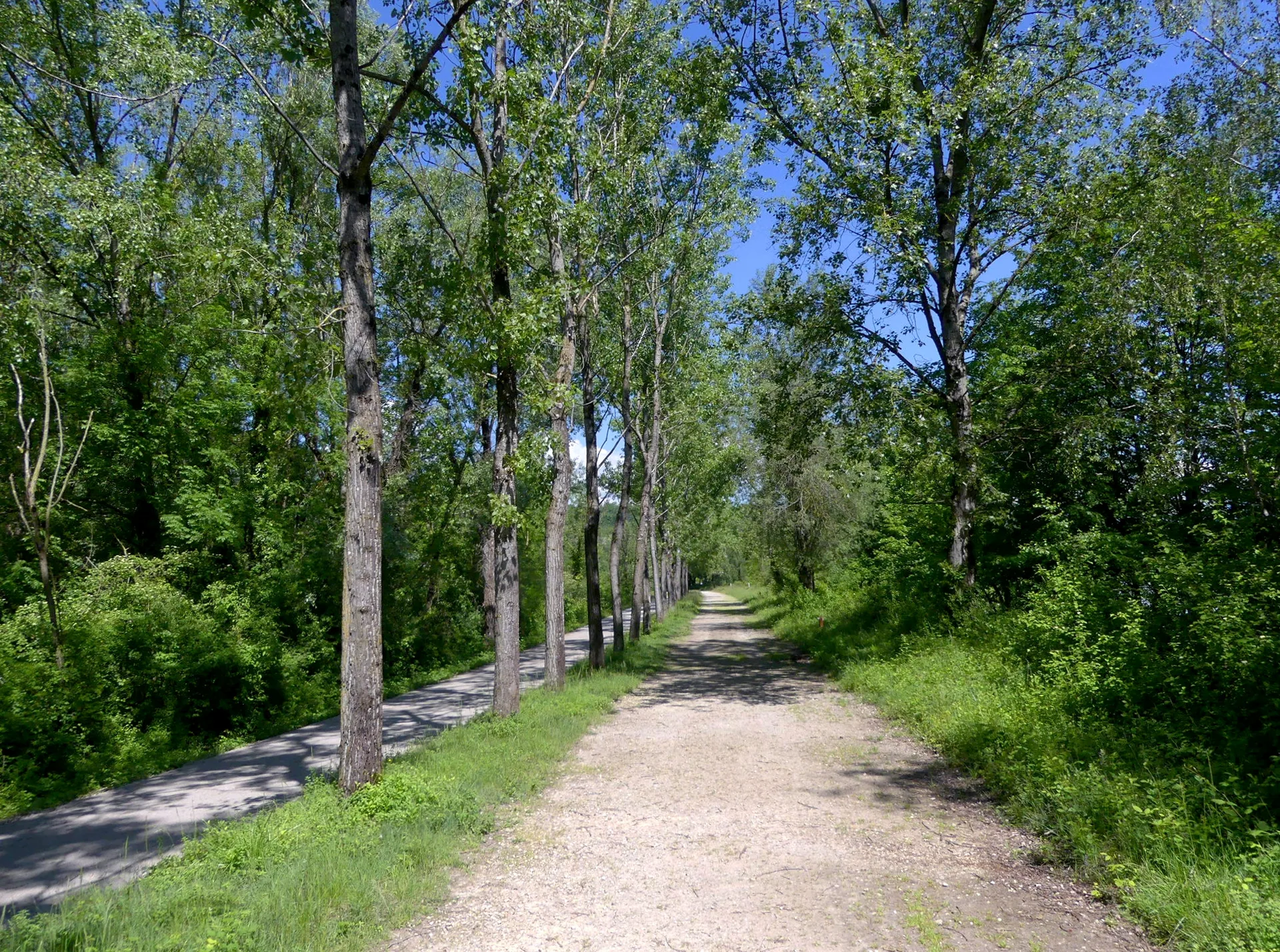 Etangs de la Malourdie à Motz — Sur le lac