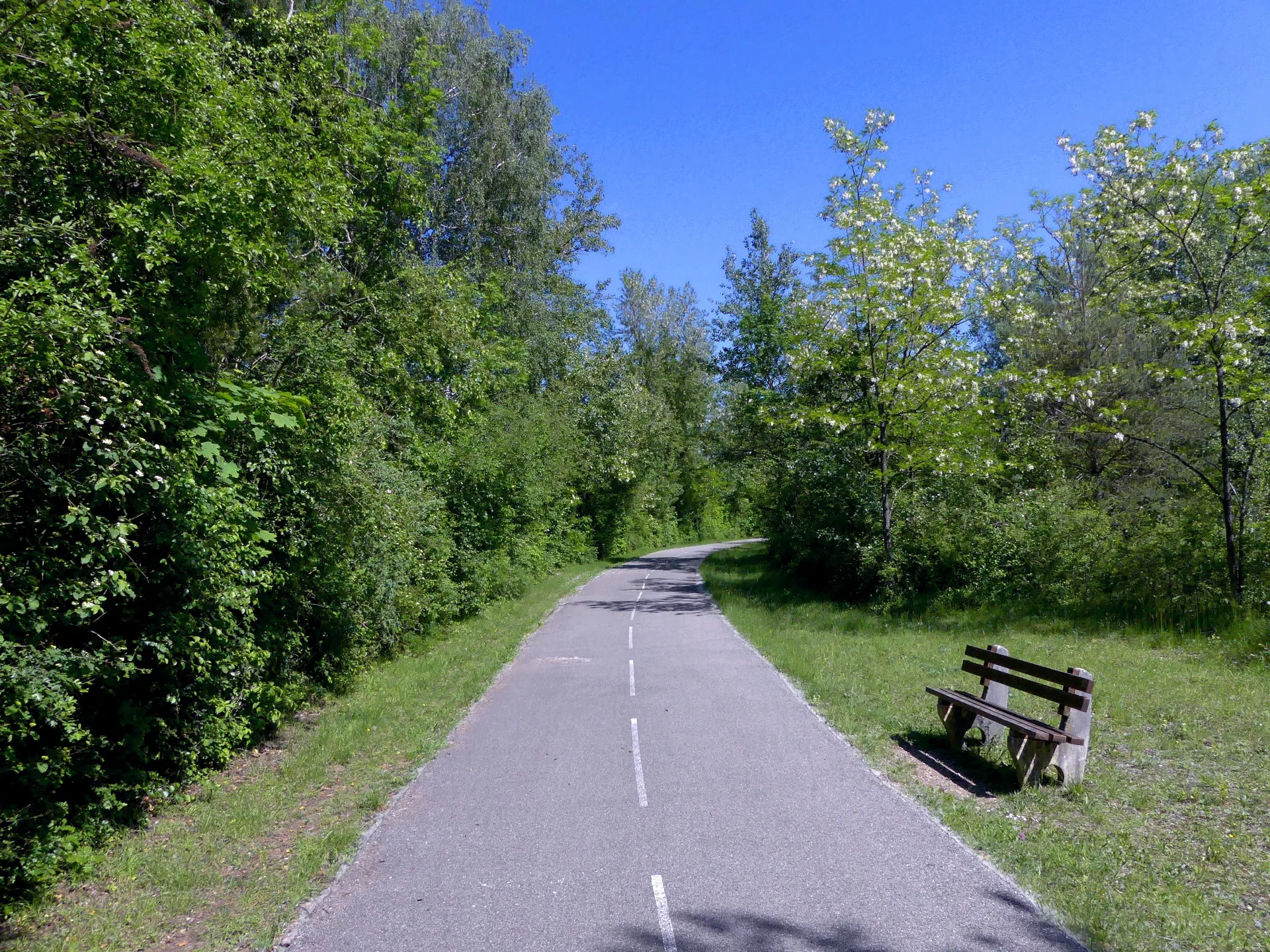 Etangs de la Malourdie à Motz — À 225 m du lac