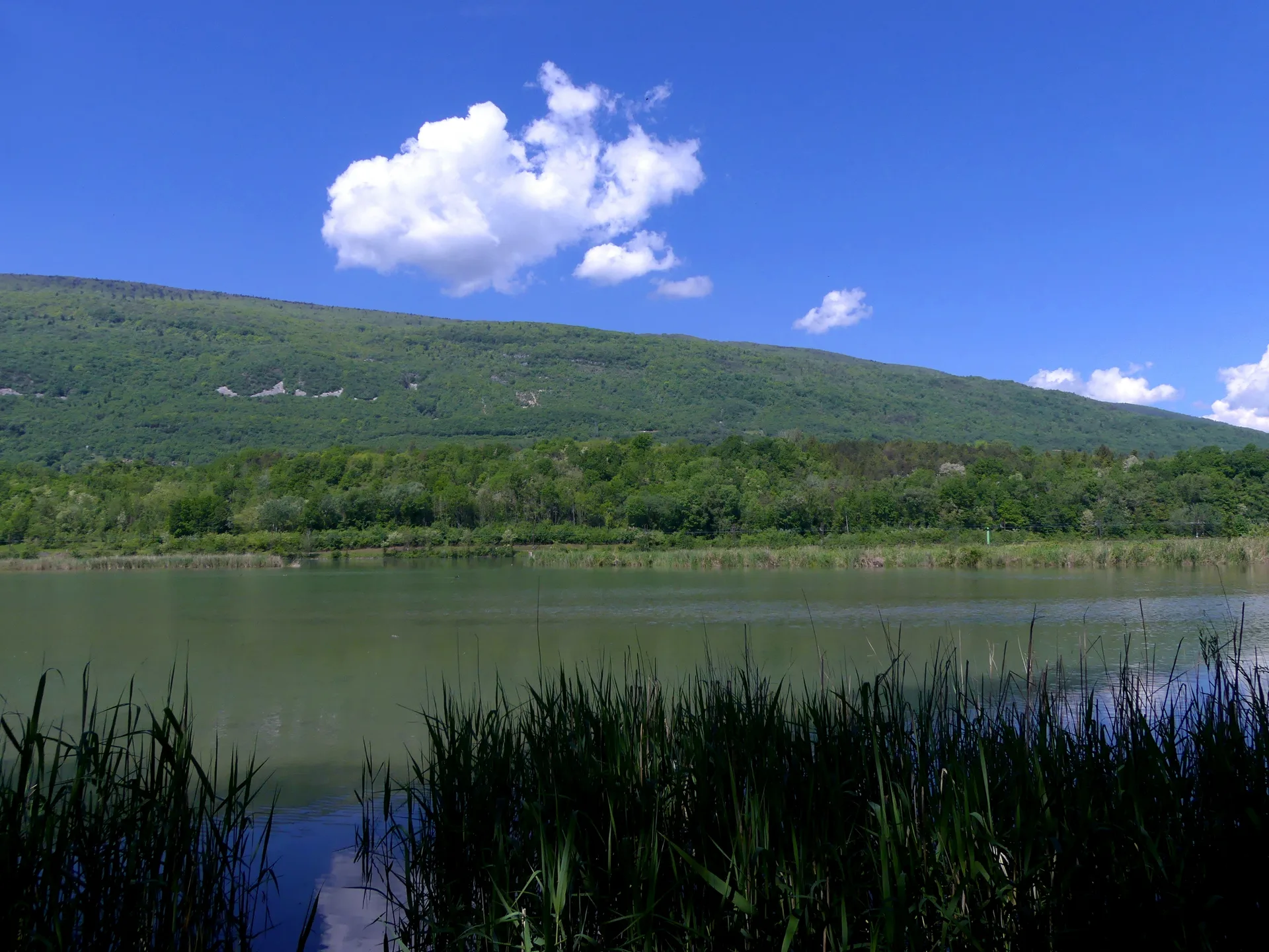 Etangs de la Malourdie à Motz — À 278 m du lac