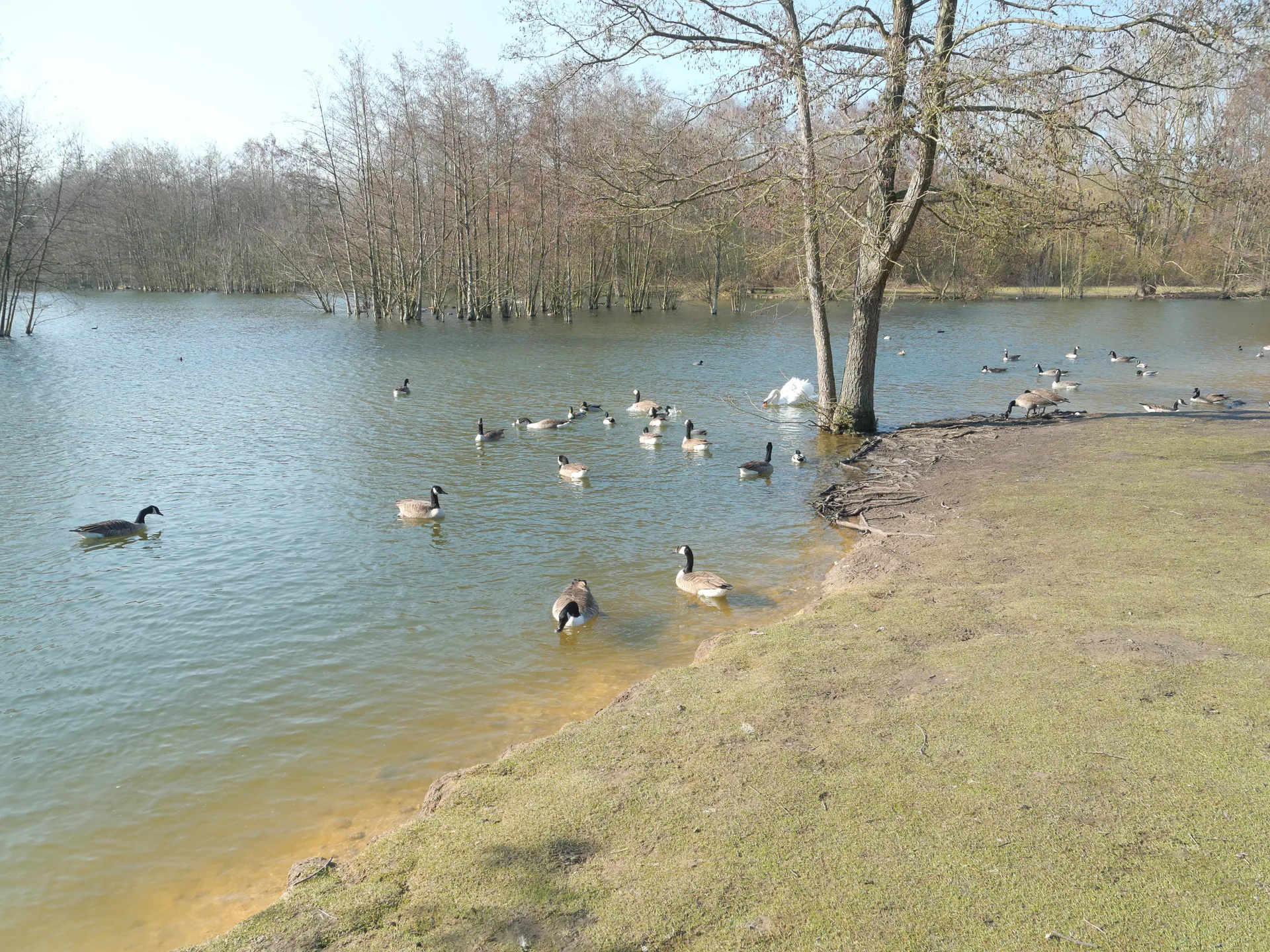 Etangs de la petite Plaine à L'Isle-Adam — À 733 m du lac
