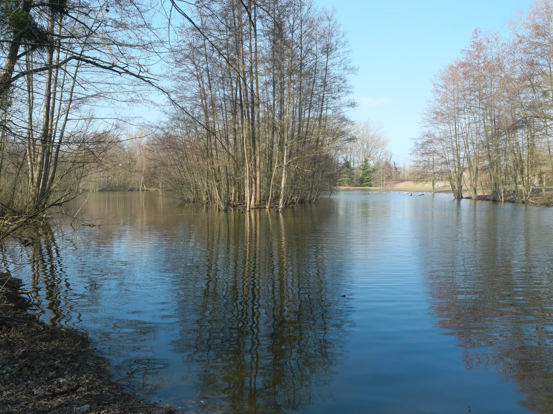 Etangs de la petite Plaine à L'Isle-Adam — À 733 m du lac