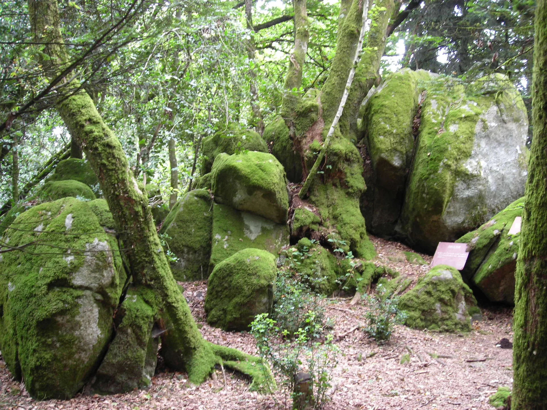 Etangs de Savennes à Savennes — À 4,7 km du lac