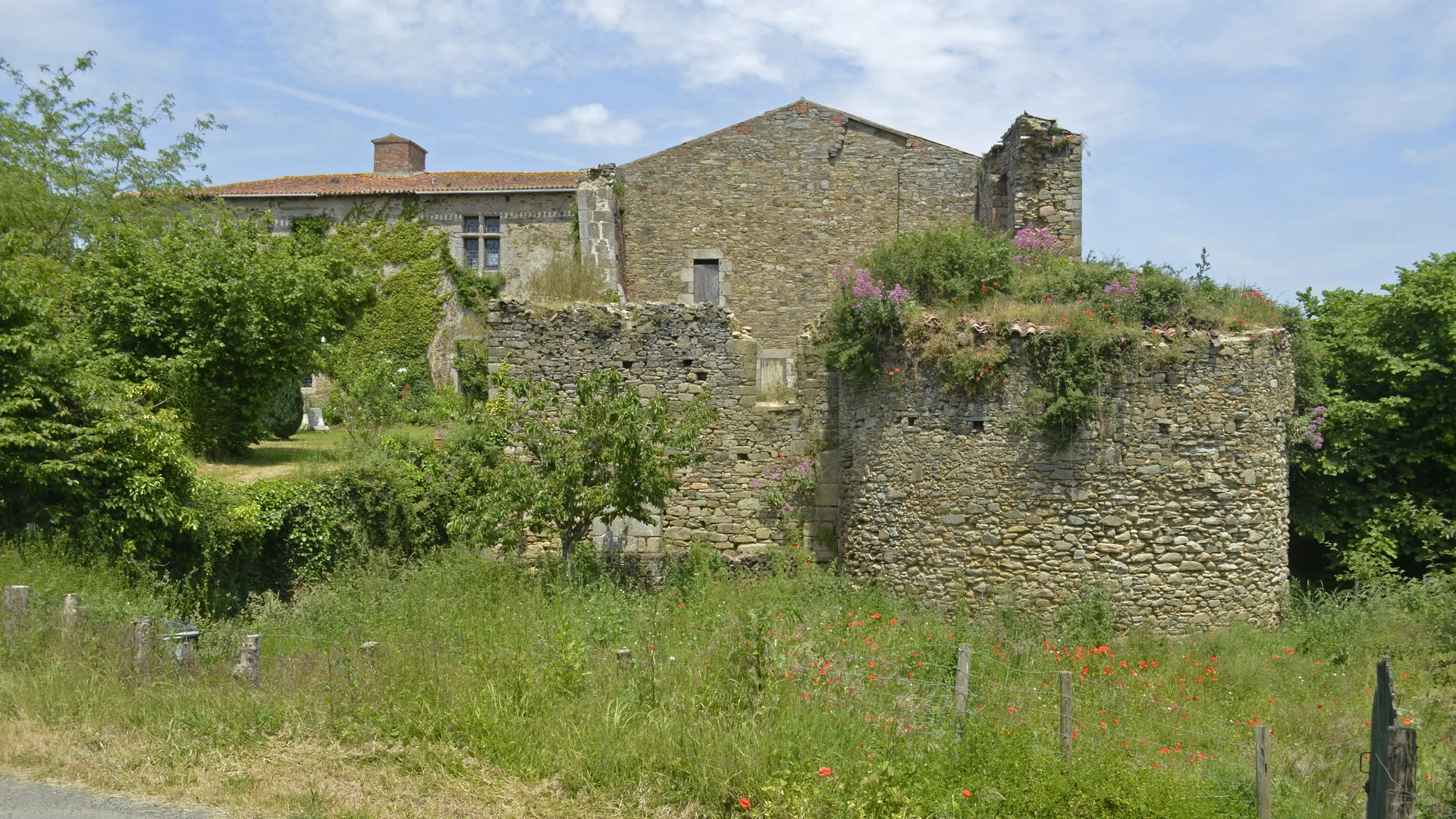 Etangs de Vendrennes à Mesnard-la-Barotière — À 2,9 km du lac