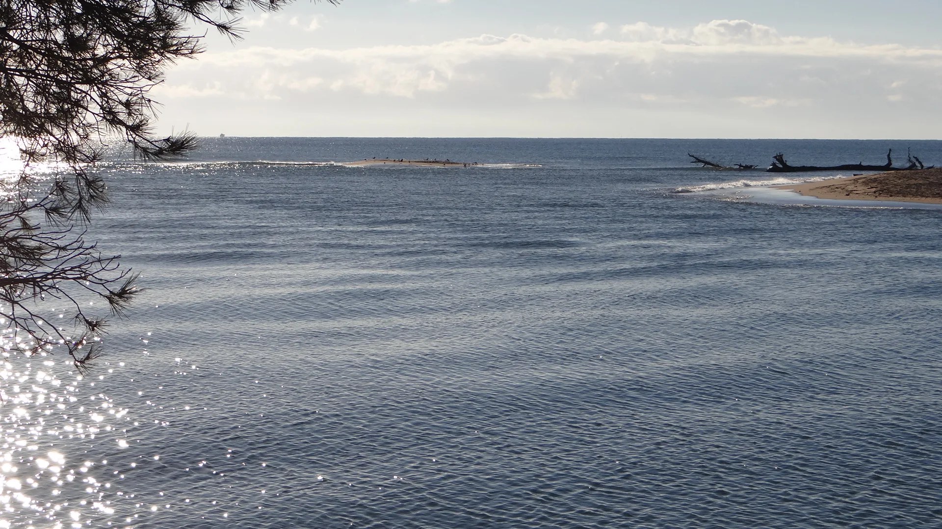 Etangs de Villepey à Fréjus — À 1,4 km du lac