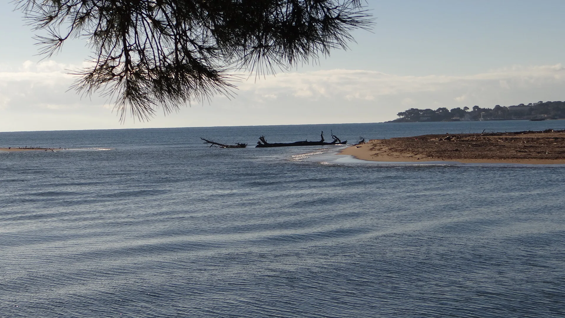 Etangs de Villepey à Fréjus — À 1,4 km du lac