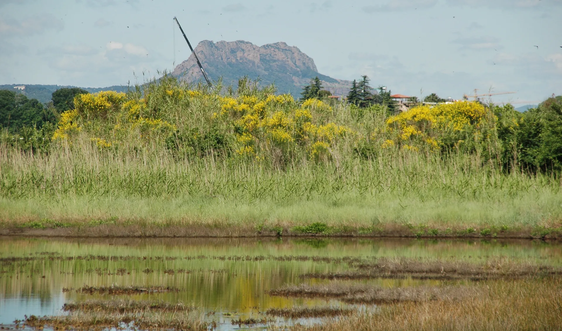 Etangs de Villepey à Fréjus — À 1,4 km du lac