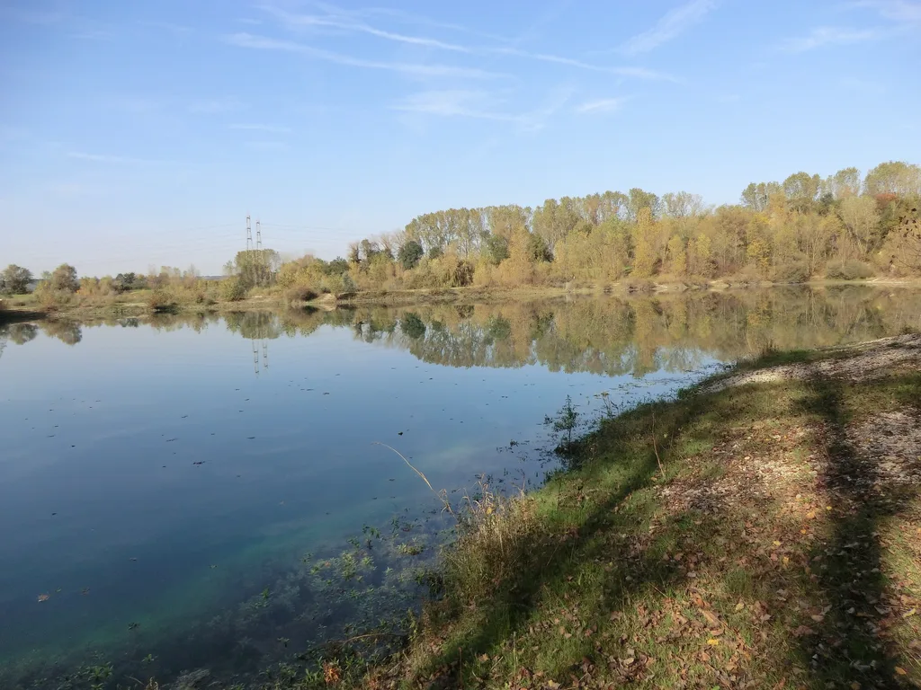 Etangs des Pyes et Brotteaux, Niévroz