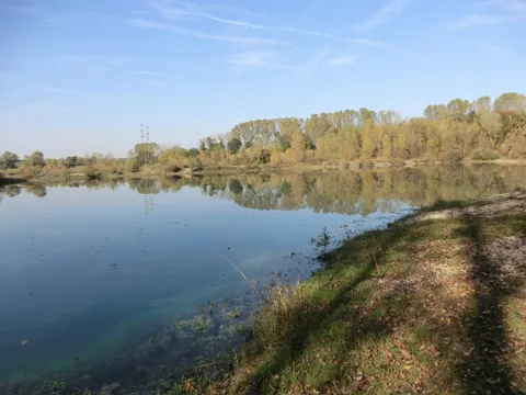Etangs des Pyes et Brotteaux