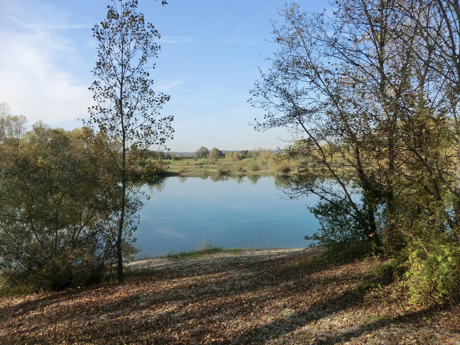 Etangs des Pyes et Brotteaux à Niévroz — Sur le lac