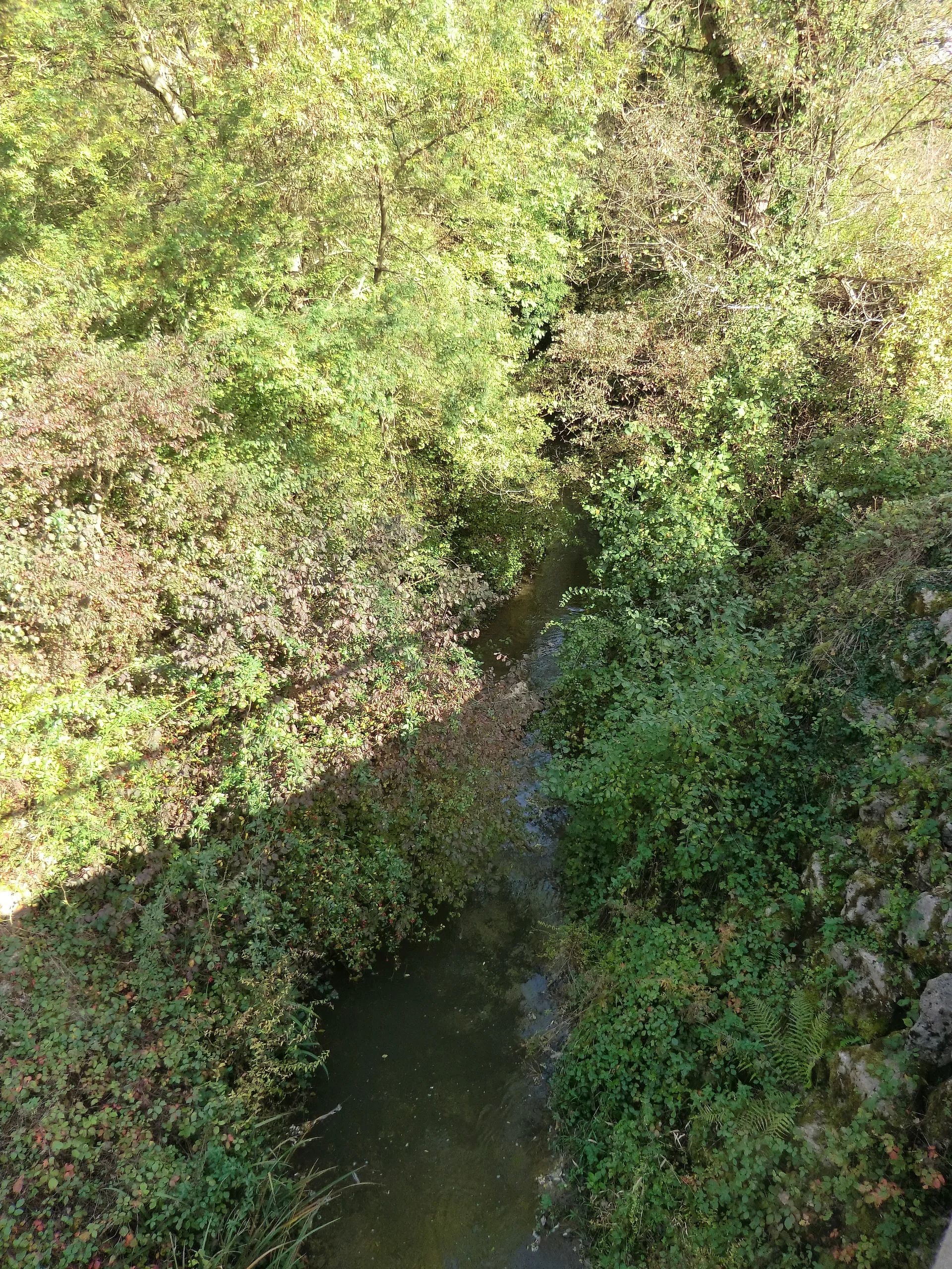 Etangs des Pyes et Brotteaux à Niévroz — À 415 m du lac