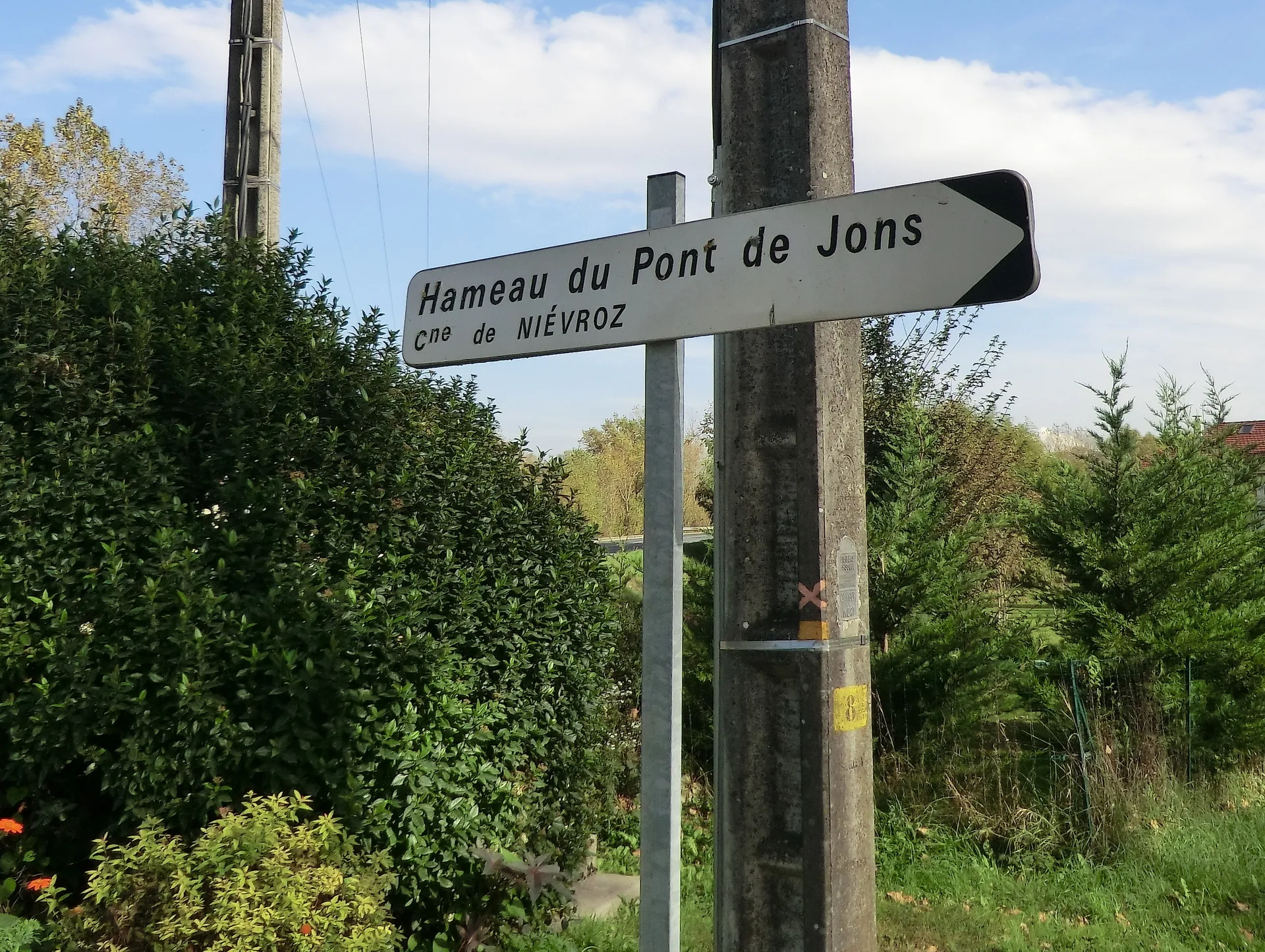 Etangs des Pyes et Brotteaux à Niévroz — À 654 m du lac