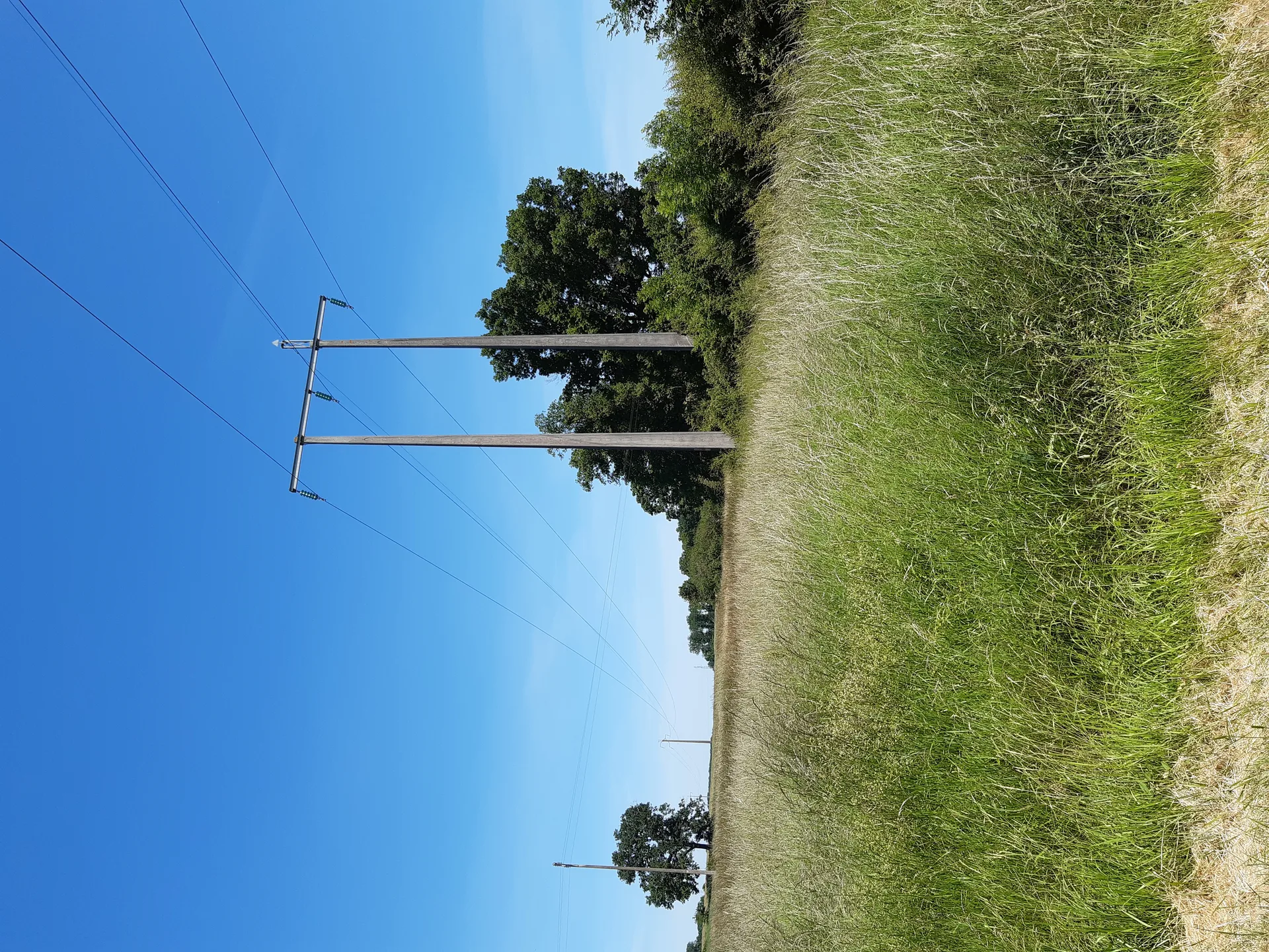Etangs Neufs à Bélâbre — À 1,2 km du lac