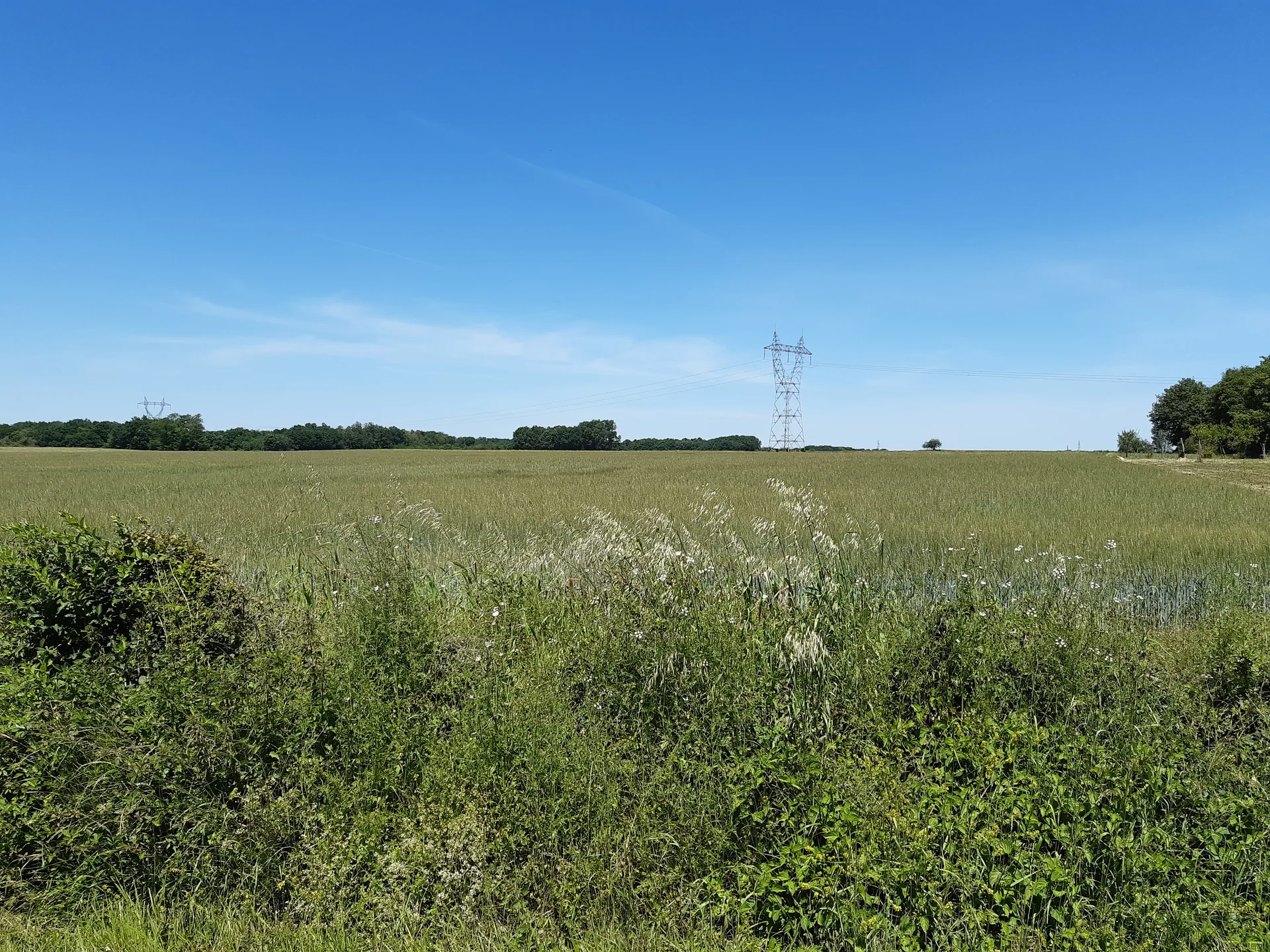 Etangs Neufs à Bélâbre — À 2,0 km du lac