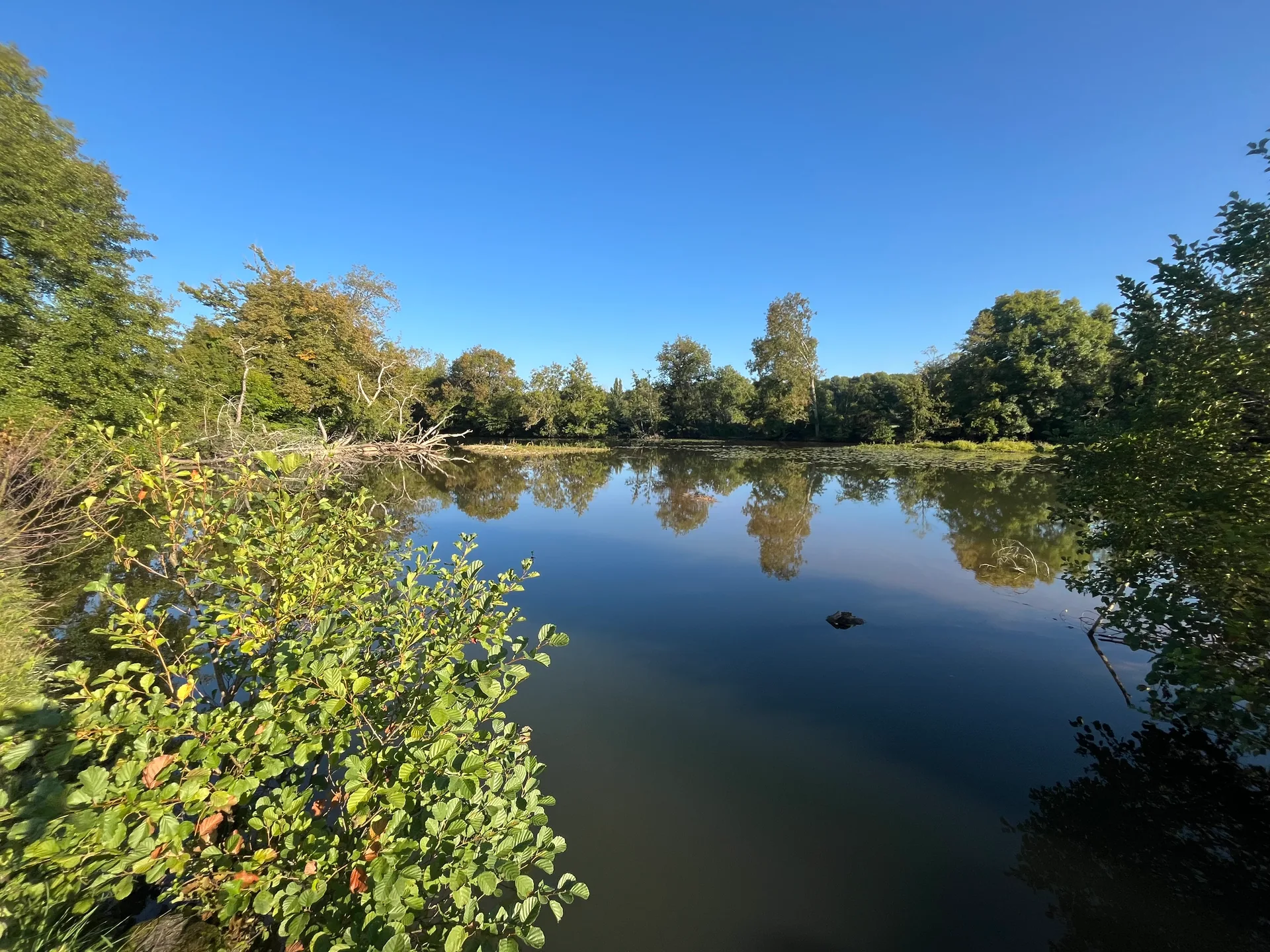 Etangs Neufs à Bélâbre — À 2,7 km du lac