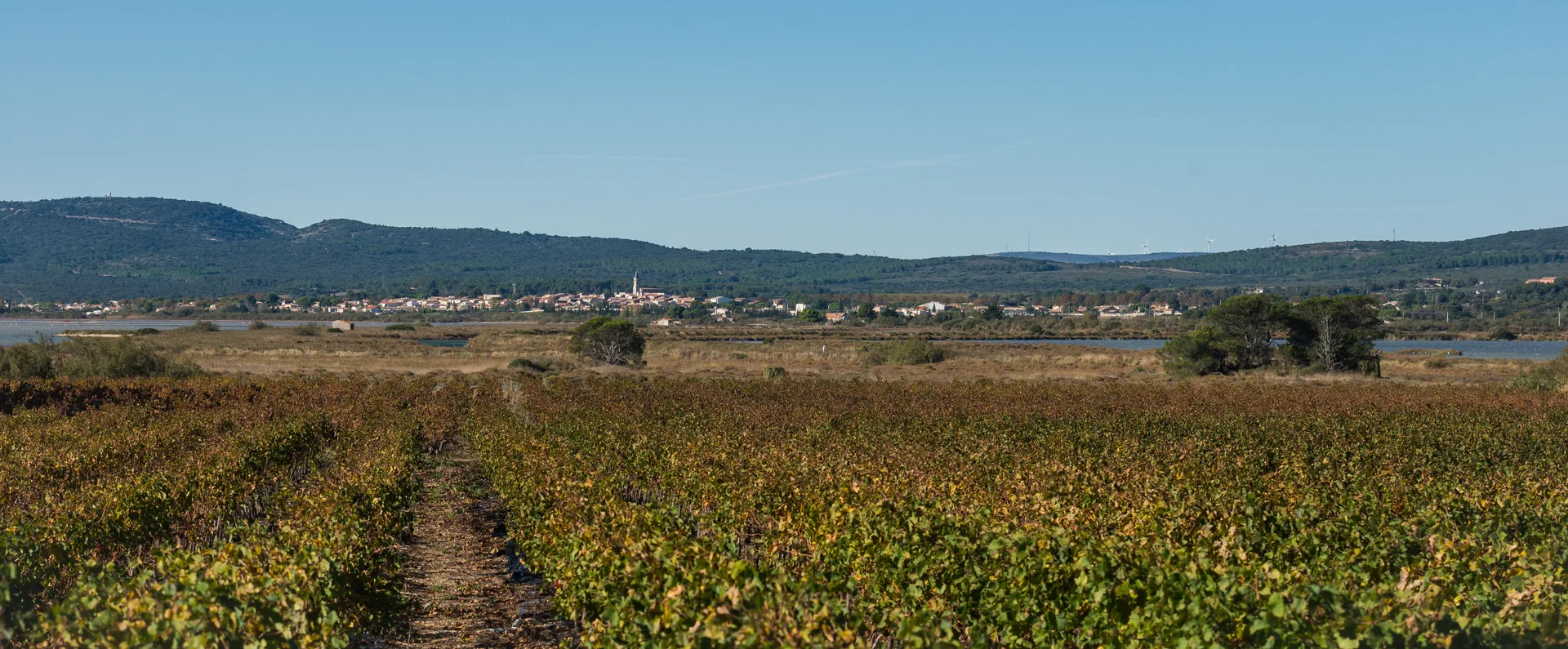 Étangs palavasiens à Villeneuve-lès-Maguelone — À 589 m du lac