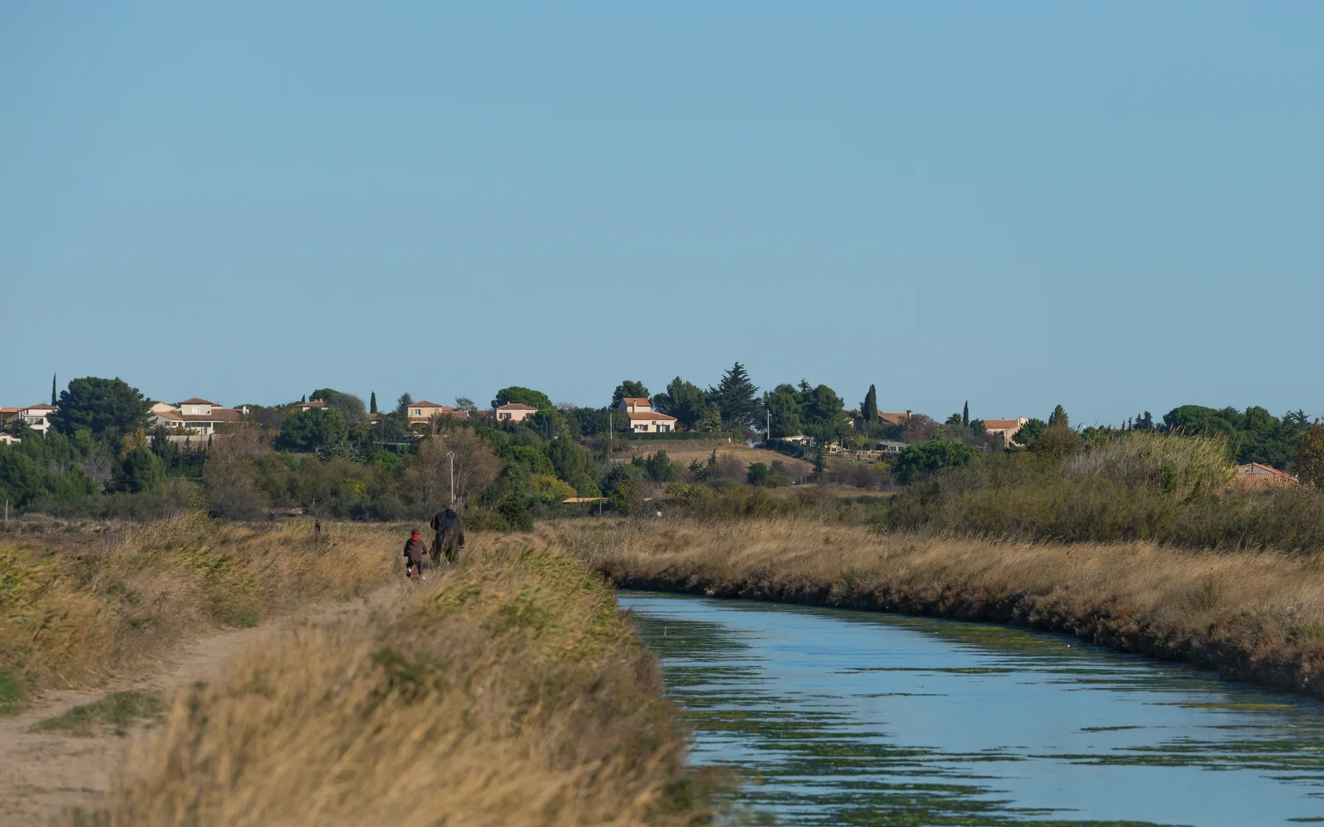 Étangs palavasiens à Villeneuve-lès-Maguelone — À 1,0 km du lac