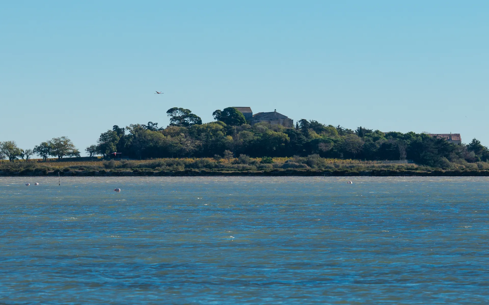Étangs palavasiens à Villeneuve-lès-Maguelone — À 1,2 km du lac