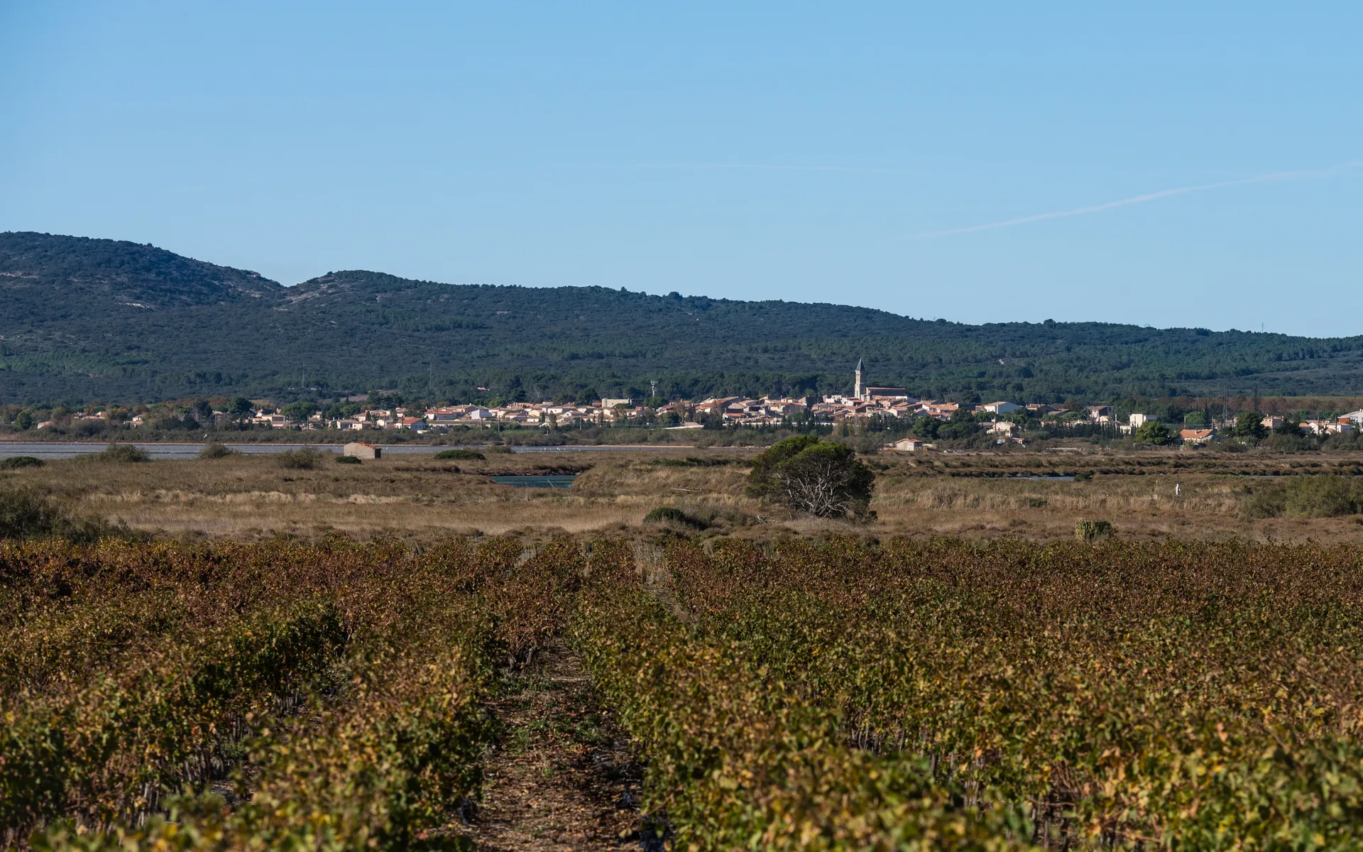 Étangs palavasiens à Villeneuve-lès-Maguelone — À 589 m du lac